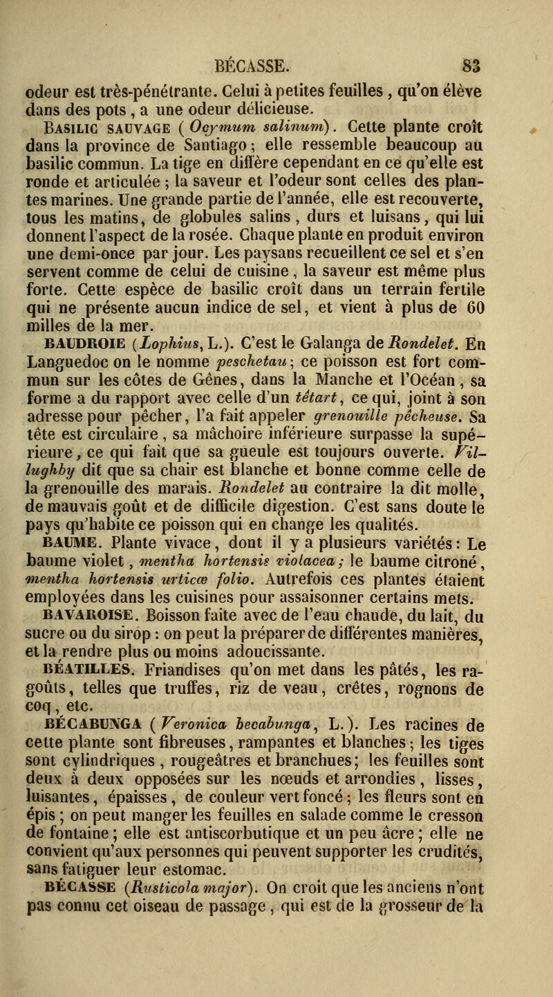 odeur est très-pénétrante. Celui à petites feuilles, qu'on élève dans des pots, a une odeur délicieuse. Basilic sauvage ( Ocymum salinum). Cette plante croît dans la province de Santiago ; elle ressemble beaucoup au basilic commun. La tige en diffère cependant en ce qu'elle est ronde et articulée ; la saveur et l'odeur sont celles des plan- tes marines. Une grande partie de l'année, elle est recouverte, tous les matins, de globules salins , durs et luisans, qui lui donnent l'aspect de la rosée. Chaque plante en produit environ une demi-once par jour. Les paysans recueillent ce sel et s'en servent comme de celui de cuisine, la saveur est même plus forte. Cette espèce de basilic croît dans un terrain fertile qui ne présente aucun indice de sel, et vient à plus de 60 milles de la mer. baudroie (Lophius.L.). C'est le Galanga de Rondelet. En Languedoc on le nomme peschetau ; ce poisson est fort com- mun sur les côtes de Gênes, dans la Manche et l'Océan , sa forme a du rapport avec celle d'un tétart, ce qui, joint à son adresse pour pêcher, l'a fait appeler grenouille pêcheuse. Sa tête est circulaire, sa mâchoire inférieure surpasse la supé- rieure y ce qui fait que sa gueule est toujours ouverte. Fil- lughbtj dit que sa chair est blanche et bonne comme celle de la grenouille des marais. Rondelet au contraire la dit molle, de mauvais goût et de difficile digestion. C'est sans doute le pays qu'habite ce poisson qui en change les qualités. baume. Plante vivace, dont il y a plusieurs variétés: Le baume violet, mentha hortensis violacea; le baume citroné, mentha hortensis urticœ folio. Autrefois ces plantes étaient employées dans les cuisines pour assaisonner certains mets. bavaroise. Boisson faite avec de l'eau chaude, du lait, du sucre ou du sirop : on peut la préparer de différentes manières, et la rendre plus ou moins adoucissante. béatilles. Friandises qu'on met dans les pâtés, les ra- goûts , telles que truffes, riz de veau, crêtes, rognons de coq, etc. BÉCABUNGA (Veronica becabunga, L.). Les racines de cette plante sont fibreuses, rampantes et blanches ; les tiges sont cylindriques , rougeâtres etbranchues; les feuilles sont deux à deux opposées sur les nœuds et arrondies, lisses, luisantes, épaisses , de couleur vert foncé ; les fleurs sont en épis ; on peut manger les feuilles en salade comme le cresson de fontaine ; elle est antiscorbutique et un peu acre ; elle ne convient qu'aux personnes qui peuvent supporter les crudités, sans fatiguer leur estomac. BÉCASSE (Rusticola major). On croit que les anciens n'ont pas connu cet oiseau de passage, qui est de la grosseur de la