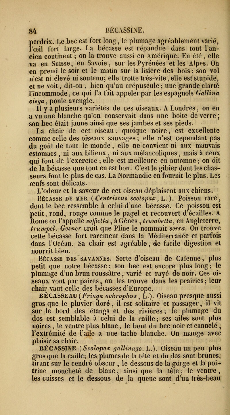 Perdrix. Le bec est fort long, le plumage agréablement varié, œil fort large. La bécasse est répandue dans tout l'an- cien continent ; on la trouve aussi en Amérique. En été, elle va en Suisse, en Savoie, sur les Pyrénées et les Alpes. On en prend le soir et le matin sur la lisière des bois ; son vol n est ni élevé ni soutenu; elle trotte très-vite, elle est stupide, et ne voit, dit-on , bien qu'au crépuscule ; une grande clarté l'incommode, ce qui l'a fait appeler par les espagnols Gallina ciega, poule aveugle. Il y a plusieurs variétés de ces oiseaux. A Londres, on en a vu une blanche qu'on conservait dans une boite de verre ; son bec était jaune ainsi que ses jambes et ses pieds. La chair de cet oiseau. quoique noire, est excellente comme celle des oiseaux sauvages ; elle n'est cependant pas du goût de tout le monde, elle ne convient ni aux mauvais estomacs , ni aux bilieux, ni aux mélancoliques, mais à ceux qui font de l'exercice ; elle est meilleure en automne ; on dit de la bécasse que tout en est bon. C'est le gibier dont les chas- seurs font le plus de cas. La Normandie en fournit le plus. Les œufs sont délicats. L'odeur et la saveur de cet oiseau déplaisent aux chiens. BÉCASSE DE MER (Centriscus scolopaw,L. ). Poisson rare, dont le bec ressemble à celui d'une bécasse. Ce poisson est petit, rond, rouge comme le pagel et recouvert d'écaillés. A Rome on l'appelle sopetta, à Gênes , trombetta, en Angleterre, trumpel. Gesner croit que Pline le nommait serra. On trouve cette bécasse fort rarement dans la Méditerranée et parfois dans l'Océan. Sa chair est agréable, de facile digestion et nourrit bien. Bécasse des sa vannes. Sorte d'oiseau de Caïenne, plus petit que notre bécasse ; son bec est encore plus long ; le plumage d'un brun roussâtre, varié et rayé de noir. Ces oi- seaux vont par paires, on les trouve dans les prairies -, leur chair vaut celle des bécasses d'Europe. bécasseau (Fringa ochrophus, L.). Oiseau presque aussi gros que le pluvier doré, il est solitaire et passager, il vit sur le bord des étangs et des rivières ; le plumage du dos est semblable à celui de la caille; ses ailes sont plus noires, le ventre plus blanc, le bout du bec noir et cannelé , l'extrémité de l'aile a une tache blanche. On mange avec plaisir sa chair. BÉCASSINE (Scolopav gallinago.L.). Oiseau un peu plus gros que la caille; les plumes de la tête et du dos sont brunes, lirant sur le cendré obscur, le dessous de la gorge et la poi- trine moucheté de blanc, ainsi que la tête ; le ventre , les cuisses et le dessous de la queue sont d'un très-beau