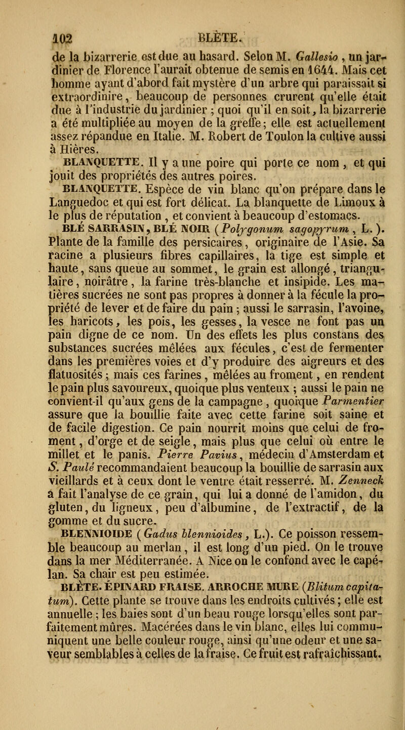 de la bizarrerie est due au hasard. Selon M. Gallesio , un jar- dinier de Florence l'aurait obtenue de semis en 1644. Mais cet homme ayant d'abord fait mystère d'un arbre qui paraissait si extraordinire, beaucoup de personnes crurent qu'elle était due à l'industrie du jardinier ; quoi qu'il en soit, la bizarrerie a été multipliée au moyen de la greffe ; elle est actuellement assez répandue en Italie. M. Robert de Toulon la cultive aussi à Hières. blanquette. Il y a une poire qui porte ce nom , et qui jouit des propriétés des autres poires. blanquette. Espèce de vin blanc qu'on prépare dans le Languedoc et qui est fort délicat. La blanquette de Limoux à le plus de réputation , et convient à beaucoup d'estomacs. BLÉ SARRASIN, BLÉ NOIR (Poljgonum sagopjrum ,, L. ). Plante de la famille des persicaîres, originaire de l'Asie. Sa racine a plusieurs fibres capillaires, la tige est simple et haute, sans queue au sommet, le grain est allongé, triangu- laire , noirâtre, la farine très-blanche et insipide. Les ma- tières sucrées ne sont pas propres à donner à la fécule la pro- priété de lever et de faire du pain ; aussi le sarrasin, l'avoine, les haricots, les pois, les gesses, la vesce ne font pas un pain digne de ce nom. Un des effets les plus constans des substances sucrées mêlées aux fécules, c'est de fermenter dans les premières voies et d'y produire des aigreurs et des flatuosités ; mais ces farines, mêlées au froment, en rendent le pain plus savoureux, quoique plus venteux ; aussi le pain ne convient-il qu'aux gens de la campagne , quoique Parmeniier assure que la bouillie faite avec cette farine soit saine et de facile digestion. Ce pain nourrit moins que celui de fro- ment , d'orge et de seigle, mais plus que celui où entre le millet et le panis. Pierre Pavius, médeciu d'Amsterdam et S. Paulè recommandaient beaucoup la bouillie de sarrasin aux vieillards et à ceux dont le ventre était resserré. M. Zenneck a fait l'analyse de ce grain, qui lui a donné de l'amidon, du gluten, du ligneux, peu d'albumine, de l'extractif, de la gomme et du sucre. BLENNIOIDE (Gadus bîennioides, L.). Ce poisson ressem- ble beaucoup au merlan, il est long d'un pied. On le trouve dans la mer Méditerranée. A Nice on le confond avec le cape- lan. Sa chair est peu estimée. BLÈTE. ÉPINARD FRAISE. ARROCHE MURE (Blitum capita- tum). Cette plante se trouve dans les endroits cultivés ; elle est annuelle ; les baies sont d'un beau rouge lorsqu'elles sont par- faitement mûres. Macérées dans le vin blanc, elles lui commu- niquent une belle couleur rouçe, ainsi qu'une odeur et une sa- veur semblables à celles de la fraise. Ce fruit est rafraîchissant.