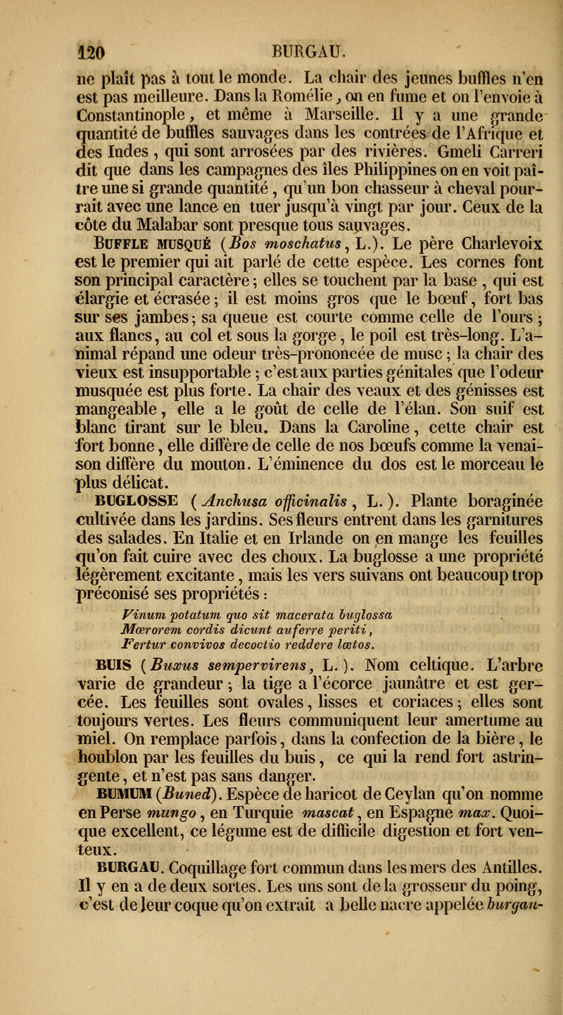 ne plaît pas à tout le monde. La chair des jeunes buffles n'en est pas meilleure. Dans la Romélie, on en fume et on l'envoie à Constantinople, et même à Marseille. Il y a une grande quantité de buffles sauvages dans les contrées de l'Afrique et des Indes , qui sont arrosées par des rivières. Gmeli Carreri dit que dans les campagnes des îles Philippines on en voit paî- tre une si grande quantité, qu'un bon chasseur à cheval pour- rait avec une lance en tuer jusqu'à vingt par jour. Ceux de la côte du Malabar sont presque tous sauvages. Buffle musqué (Bos moschatus, L.). Le père Charlevoix est le premier qui ait parlé de cette espèce. Les cornes font son principal caractère ; elles se touchent par la base , qui est élargie et écrasée ; il est moins gros que le bœuf, fort bas sur ses jambes ; sa queue est courte comme celle de l'ours ; aux flancs, au col et sous la gorge, le poil est très-long. L'a- nimal répand une odeur très-prononcée de musc ; la chair des vieux est insupportable ; c'est aux parties génitales que l'odeur musquée est plus forte. La chair des veaux et des génisses est mangeable, elle a le goût de celle de l'élan. Son suif est blanc tirant sur le bleu. Dans la Caroline, cette chair est fort bonne, elle diffère de celle de nos bœufs comme la venai- son diffère du mouton. L'éminence du dos est le morceau le plus délicat. BUGLOSSE (Anchusa officinaUs, L. ). Plante boraginëe cultivée dans les jardins. Ses fleurs entrent dans les garnitures des salades. En Italie et en Irlande on en mange les feuilles qu'on fait cuire avec des choux, La buglosse a une propriété légèrement excitante, mais les vers suivans ont beaucoup trop préconisé ses propriétés : Vinum potatum quo sit macerata buglossa Mœrorem cor dis dicunt au ferre periti, Fertur convivos decoctio reddere lœtos. BUIS {Buxus sempervirens, L. ). Nom celtique. L'arbre varie de grandeur ; la tige a l'écorce jaunâtre et est ger- cée. Les feuilles sont ovales, lisses et coriaces ; elles sont toujours vertes. Les fleurs communiquent leur amertume au miel. On remplace parfois, dans la confection de la bière, le houblon par les feuilles du buis, ce qui la rend fort astrin- gente , et n'est pas sans danger. BUMXM (Buned). Espèce de haricot deCeylan qu'on nomme en Perse mungo, en Turquie mascat, en Espagne maœ. Quoi- que excellent, ce légume est de difficile digestion et fort ven- teux. BURGAU. Coquillage fort commun dans les mers des Antilles. Il y en a de deux sortes. Les uns sont delà grosseur du poing, c'est de leur coque qu'on extrait a belle nacre appelée burgau-