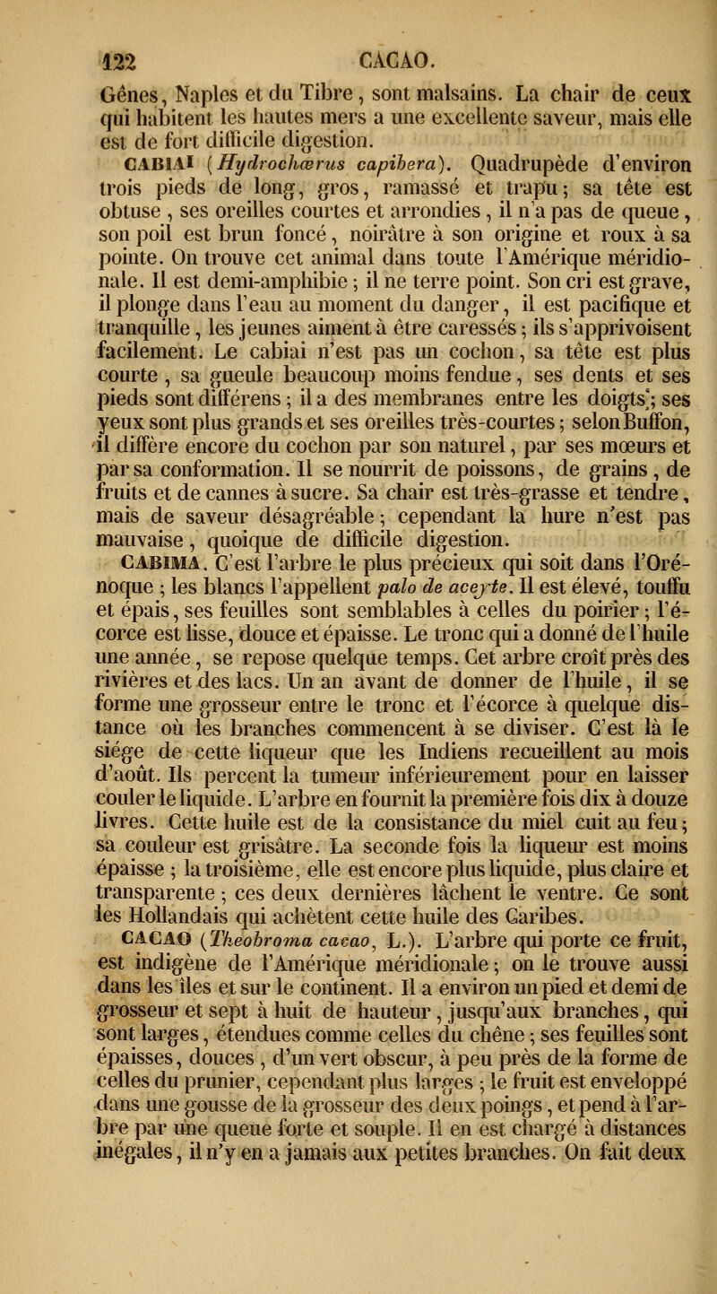 Gênes, Naples et du Tibre ; sont malsains. La chair de ceux qui habitent les hautes mers a une excellente saveur, mais elle est de fort difficile digestion. CABlAi [Hydrochœrus capibera). Quadrupède d'environ trois pieds de long, gros, ramassé et trapu; sa tête est obtuse , ses oreilles courtes et arrondies , il n'a pas de queue, son poil est brun foncé, noirâtre à son origine et roux à sa pointe. On trouve cet animal dans toute l'Amérique méridio- nale. Il est demi-amphibie ; il ne terre point. Son cri est grave, il plonge dans l'eau au moment du danger, il est pacifique et tranquille, les jeunes aiment à être caressés ; ils s'apprivoisent facilement. Le cabiai n'est pas un cochon, sa tête est plus courte , sa gueule beaucoup moins fendue, ses dents et ses pieds sont différens ; il a des membranes entre les doigts'; ses yeux sont plus grands et ses oreilles très-courtes ; selon Buffon, il diffère encore du cochon par son naturel, par ses mœurs et par sa conformation. Il se nourrit de poissons, de grains , de fruits et de cannes à sucre. Sa chair est très-grasse et tendre, mais de saveur désagréable ; cependant la hure n'est pas mauvaise, quoique de difficile digestion. Cabïma. C'est l'arbre.le plus précieux qui soit dans l'Oré- noque ; les blancs l'appellent palo de acejte. Il est élevé, touffu et épais, ses feuilles sont semblables à celles du poirier ; l'é- corce est lisse, douce et épaisse. Le tronc qui a donné de l'huile une année, se repose quelque temps. Cet arbre croît près des rivières et des lacs. Un an avant de donner de l'huile, il se forme une grosseur entre le tronc et l'écorce à quelque dis- tance où les branches commencent à se diviser. C'est là le siège de cette liqueur que les Indiens recueillent au mois d'août. Ils percent la tumeur inférieurement pour en laisser couler le liquide. L'arbre en fournit la première fois dix à douze livres. Cette huile est de la consistance du miel cuit au feu; sa couleur est grisâtre. La seconde fois la liqueur est moins épaisse ; la troisième, elle est encore plus liquide, plus claire et transparente ; ces deux dernières lâchent le ventre. Ce sont les Hollandais qui achètent cette huile des Garibes. CACAO (Theobroma cacao, L.). L'arbre qui porte ce fruit, est indigène de l'Amérique méridionale ; on le trouve aussi dans les îles et sur le continent. Il a environ un pied et demi de grosseur et sept à huit de hauteur, jusqu'aux branches, qui sont larges, étendues comme celles du chêne ; ses feuilles sont épaisses, douces , d'un vert obscur, à peu près de la forme de celles du prunier, cependant plus larges ; le fruit est enveloppé dans une gousse de la grosseur des deux poings, et pend à l'ar- bre par une queue forte et souple. Il en est chargé à distances inégales, il n'y en a jamais aux petites branches. On fait deux