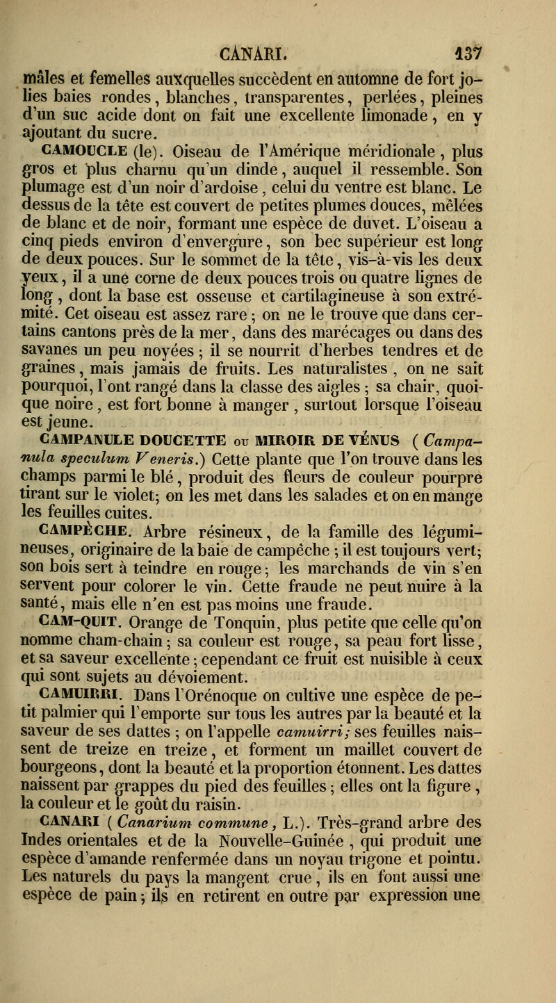 mâles et femelles auxquelles succèdent en automne de fort jo- lies baies rondes, blanches, transparentes, perlées, pleines d'un suc acide dont on fait une excellente limonade, en y ajoutant du sucre. camoucle (le). Oiseau de l'Amérique méridionale , plus gros et plus charnu qu'un dinde, auquel il ressemble. Son plumage est d'un noir d'ardoise, celui du ventre est blanc. Le dessus de la tête est couvert de petites plumes douces, mêlées de blanc et de noir, formant une espèce de duvet. L'oiseau a cinq pieds environ d'envergure, son bec supérieur est long de deux pouces. Sur le sommet de la tête, vis-à-vis les deux yeux, il a une corne de deux pouces trois ou quatre lignes de long , dont la base est osseuse et cartilagineuse à son extré- mité. Cet oiseau est assez rare ; on ne le trouve que dans cer- tains cantons près de la mer, dans des marécages ou dans des savanes un peu noyées ; il se nourrit d'herbes tendres et de graines, mais jamais de fruits. Les naturalistes , on ne sait pourquoi, l'ont rangé dans la classe des aigles ; sa chair, quoi- que noire, est fort bonne à manger ■ surtout lorsque l'oiseau est jeune. CAMPANULE DOUCETTE ou MIROIR DE VÉNUS ( Campa- nuîa spéculum Veneris.) Cette plante que l'on trouve dans les champs parmi le blé, produit des fleurs de couleur pourpre tirant sur le violet; on les met dans les salades et on en mange les feuilles cuites. campêche. Arbre résineux, de la famille des légumi- neuses, originaire de la baie de campêche ; il est toujours vert; son bois sert à teindre en rouge; les marchands de vin s'en servent pour colorer le vin. Cette fraude ne peut nuire à la santé, mais elle n'en est pas moins une fraude. Cam-quit. Orange de Tonquin, plus petite que celle qu'on nomme cham-chain; sa couleur est rouge, sa peau fort lisse, et sa saveur excellente ; cependant ce fruit est nuisible à ceux qui sont sujets au dévoiement. CAMUirri. Dans l'Orénoque on cultive une espèce de pe- tit palmier qui l'emporte sur tous les autres parla beauté et la saveur de ses dattes ; on l'appelle camuirri; ses feuilles nais- sent de treize en treize, et forment un maillet couvert de bourgeons, dont la beauté et la proportion étonnent. Les dattes naissent par grappes du pied des feuilles ; elles ont la figure , la couleur et le goût du raisin. CANARI ( Canarium commune, L.). Très-grand arbre des Indes orientales et de la Nouvelle-Guinée , qui produit une espèce d'amande renfermée dans un noyau trigone et pointu. Les naturels du pays la mangent crue, ils en font aussi une espèce de pain ; ils en retirent en outre par expression une
