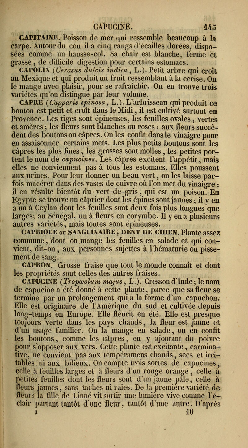 CAPITAINE. Poisson de mer qui ressemble beaucoup à la carpe. Autour du cou il a cinq rangs d'écaillés dorées, dispo- sées comme un hausse-col. Sa chair est blanche, ferme et grasse, de difficile digestion pour certains estomacs. CAPOLIN (Cerasus dulcis indica, L.). Petit arbre qui croît au Mexique et qui produit un fruit ressemblant à la cerise. On le mange avec plaisir, pour se rafraîchir. On en trouve trois variétés qu'on distingue par leur volume. câpre {Capparis spinosa, L.). L'arbrisseau qui produit ce bouton est petit et croît dans le Midi, il est cultivé surtout en Provence. Les tiges sont épineuses, les feuilles ovales, vertes et amères ; les fleurs sont blanches ou roses : aux fleurs succè- dent des boutons ou câpres. On les confit dans le vinaigre pour en assaisonner certains mets. Les plus petits boutons sont les câpres les plus fines, les grosses sont molles, les petites por- tent le nom de capucines. Les câpres excitent l'appétit, mais elles ne conviennent pas à tous les estomacs. Elles poussent aux urines. Pour leur donner un beau vert, on les laisse par- fois macérer dans des vases de cuivre où l'on met du vinaigre : il en résulte bientôt du vert-de-gris, qui est un poison. En Egypte se trouve un câprier dont les épines sont jaunes ; il y en a im à Ceylan dont les feuilles sont deux fois plus longues que larges; au Sénégal, un à fleurs en corymbe. Il y en a plusieurs autres variétés, mais toutes sont épineuses. CAPIUOLE ou SANGUINAIRE, DENT DE CHIEN. Plante assez commune, dont on mange les feuilles en salade et qui con- vient, dit-on, aux personnes sujettes à l'hématurie ou pisse- ment de sang. capron. Grosse fraise que tout le monde connaît et dont les propriétés sont celles des autres fraises. capucine (Tropœolum majus, L.). Cresson d'Inde ; le nom de capucine a été donné à cette plante, parce que sa fleur se termine par un prolongement qui a la forme d'un capuchon. Elle est originaire de l'Amérique du sud et cultivée depuis long-temps en Europe. Elle fleurit en été. Elle est presque toujours verte dans les pays chauds, la fleur est jaune et d'un usage familier. On la mange en salade, on en confit les boutons, comme les câpres, en y ajoutant du poivre pour s'opposer aux vers. Cette plante est excitante, carmina- tive, ne convient pas aux tempéramens chauds, secs et irri- tables, ni aux bilieux, On compte trois sortes de capucines, celle à feuilles larges et à fleurs d'un rouge orangé , celle à petites feuilles dont les fleurs sont d'un jaune pâle, celle à fleurs jaunes, sans taches ni raies. De la première variété de fleurs la fille de Linné vit sortir une lumière vive comme l'é- clair partant tantôt dune fleur, tantôt d'une autre. D'après i 10