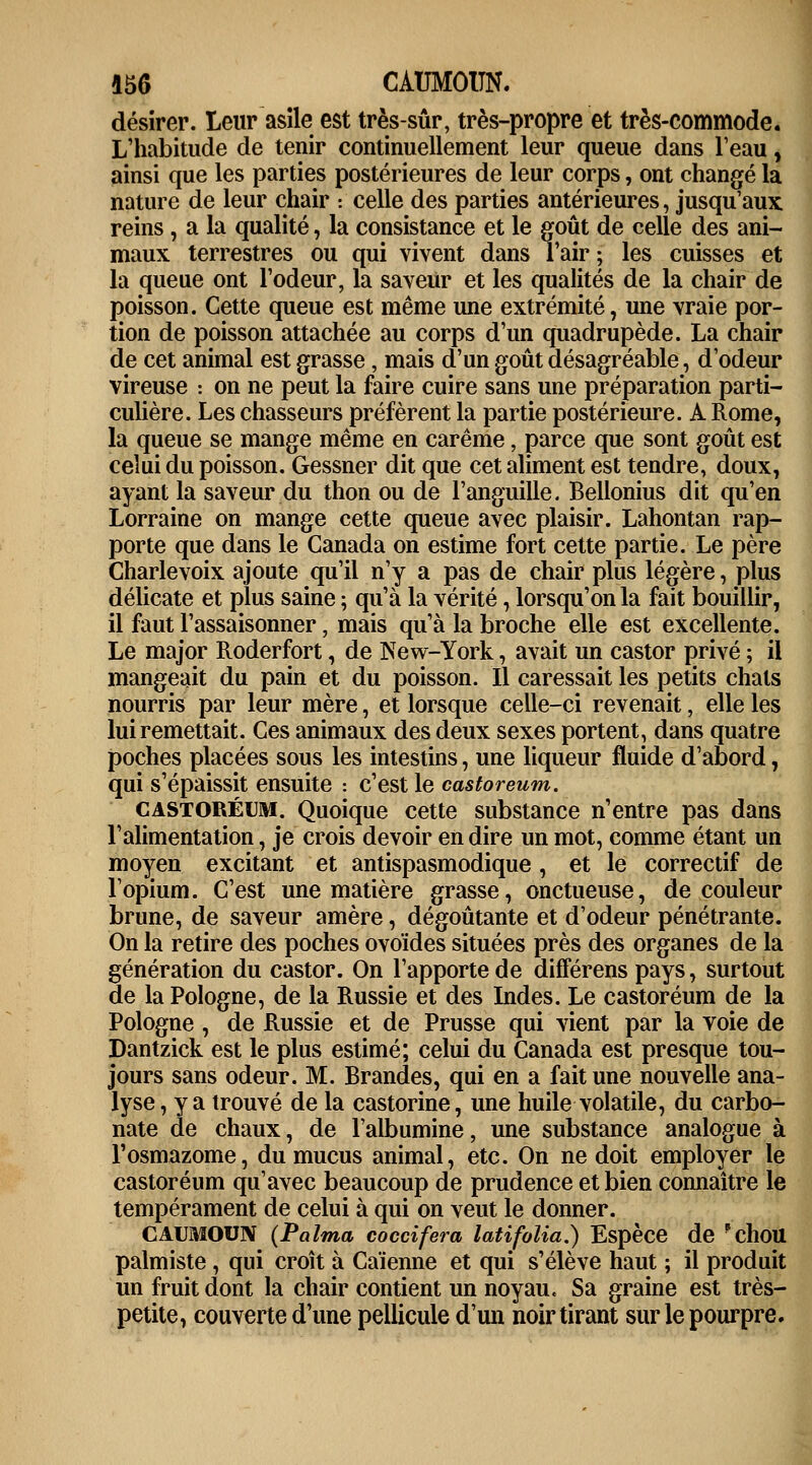 désirer. Leur asîle est très-sûr, très-propre et très-commode. L'habitude de tenir continuellement leur queue dans l'eau, ainsi que les parties postérieures de leur corps, ont changé la nature de leur chair : celle des parties antérieures, jusqu'aux reins , a la qualité, la consistance et le goût de celle des ani- maux terrestres ou qui vivent dans l'air ; les cuisses et la queue ont l'odeur, la saveur et les qualités de la chair de poisson. Cette queue est même une extrémité, une vraie por- tion de poisson attachée au corps d'un quadrupède. La chair de cet animal est grasse, mais d'un goût désagréable, d'odeur vireuse : on ne peut la faire cuire sans une préparation parti- culière. Les chasseurs préfèrent la partie postérieure. A Rome, la queue se mange même en carême, parce que sont goût est celui du poisson. Gessner dit que cet aliment est tendre, doux, ayant la saveur du thon ou de l'anguille. Bellonius dit qu'en Lorraine on mange cette queue avec plaisir. Lahontan rap- porte que dans le Canada on estime fort cette partie. Le père Charlevoix ajoute qu'il n'y a pas de chair plus légère, plus délicate et plus saine ; qu'à la vérité, lorsqu'on la fait bouillir, il faut l'assaisonner, mais qu'à la broche elle est excellente. Le major Roderfort, de New-York, avait un castor privé ; il mangeait du pain et du poisson. Il caressait les petits chats nourris par leur mère, et lorsque celle-ci revenait, elle les lui remettait. Ces animaux des deux sexes portent, dans quatre poches placées sous les intestins, une liqueur fluide d'abord, qui s'épaissit ensuite : c'est le castoreum. CASTORÉUM. Quoique cette substance n'entre pas dans l'alimentation, je crois devoir en dire un mot, comme étant un moyen excitant et antispasmodique, et le correctif de l'opium. C'est une matière grasse, onctueuse, de couleur brune, de saveur amère, dégoûtante et d'odeur pénétrante. On la retire des poches ovoïdes situées près des organes de la génération du castor. On l'apporte de différens pays, surtout de la Pologne, de la Russie et des Indes. Le castoréum de la Pologne, de Russie et de Prusse qui vient par la voie de Dantzick est le plus estimé; celui du Canada est presque tou- jours sans odeur. M. Brandes, qui en a fait une nouvelle ana- lyse , y a trouvé de la castorine, une huile volatile, du carbo- nate de chaux, de l'albumine, une substance analogue à l'osmazome, du mucus animal, etc. On ne doit employer le castoréum qu'avec beaucoup de prudence et bien connaître le tempérament de celui à qui on veut le donner. CAUMOUN (Palma coccifera latifolia.) Espèce de ?cllOU palmiste, qui croît à Caïenne et qui s'élève haut ; il produit un fruit dont la chair contient un noyau. Sa graine est très- petite, couverte d'une pellicule d'un noir tirant sur le pourpre.