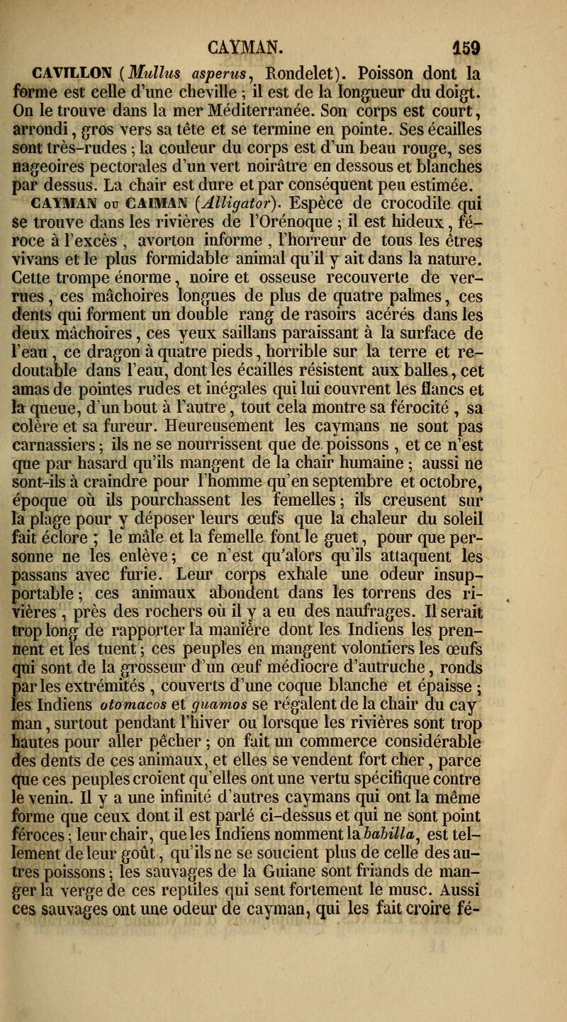 CAVïLLON (Mullus asperus, Rondelet). Poisson dont la forme est celle d'une cheville ; il est de la longueur du doigt. On le trouve dans la mer Méditerranée. Son corps est court, arrondi, gros vers sa tête et se termine en pointe. Ses écailles sont très-rudes ; la couleur du corps est d'un beau rouge, ses nageoires pectorales d'un vert noirâtre en dessous et blanches par dessus. La chair est dure et par conséquent peu estimée. CAYMAN ou caïman (Alligator). Espèce de crocodile qui se trouve dans les rivières de l'Orénoque ; il est hideux, fé- roce à l'excès , avorton informe , l'horreur de tous les êtres vivans et le plus formidable animal qu'il y ait dans la nature. Cette trompe énorme, noire et osseuse recouverte de ver- rues , ces mâchoires longues de plus de quatre palmes, ces dents qui forment un double rang de rasoirs acérés dans les deux mâchoires, ces yeux saillans paraissant à la surface de l'eau, ce dragon à quatre pieds, horrible sur la terre et rer- doutable dans l'eau, dont les écailles résistent aux balles, cet amas de pointes rudes et inégales qui lui couvrent les flancs et la queue, d'un bout à l'autre, tout cela montre sa férocité , sa colère et sa fureur. Heureusement les caymans ne sont pas carnassiers ; ils ne se nourrissent que de poissons , et ce n'est que par hasard qu'ils mangent de la chair humaine ; aussi ne sont-ils à craindre pour l'homme qu'en septembre et octobre, époque où ils pourchassent les femelles; ils creusent sur la plage pour y déposer leurs œufs que la chaleur du soleil fait éclore ; le mâle et la femelle font le guet, pour que per- sonne ne les enlève; ce n'est qu'alors qu'ils attaquent les passans avec furie. Leur corps exhale une odeur insup- portable ; ces animaux abondent dans les torrens des ri- vières , près des rochers où il y a eu des naufrages. Il serait trop long de rapporter la manière dont les Indiens les pren- nent et les tuent ; ces peuples en mangent volontiers les œufs qui sont de la grosseur d'un œuf médiocre d'autruche, ronds parles extrémités , couverts d'une coque blanche et épaisse ; les Indiens otomacos et guamos se régalent de la chair du cay man, surtout pendant l'hiver ou lorsque les rivières sont trop hautes pour aller pêcher ; on fait un commerce considérable des dents de ces animaux, et elles se vendent fort cher, parce que ces peuples croient qu'elles ont une vertu spécifique contre le venin. Il y a une infinité d'autres caymans qui ont la même forme que ceux dont il est parlé ci-dessus et qui ne sont point féroces ; leur chair, que les Indiens nomment la babilla, est tel- lement de leur goût, qu'ils ne se soucient plus de celle des au- tres poissons ; les sauvages de la Guiane sont friands de man- ger la verge de ces reptiles qui sent fortement le musc. Aussi ces sauvages ont une odeur de cayman, qui les fait croire fé-