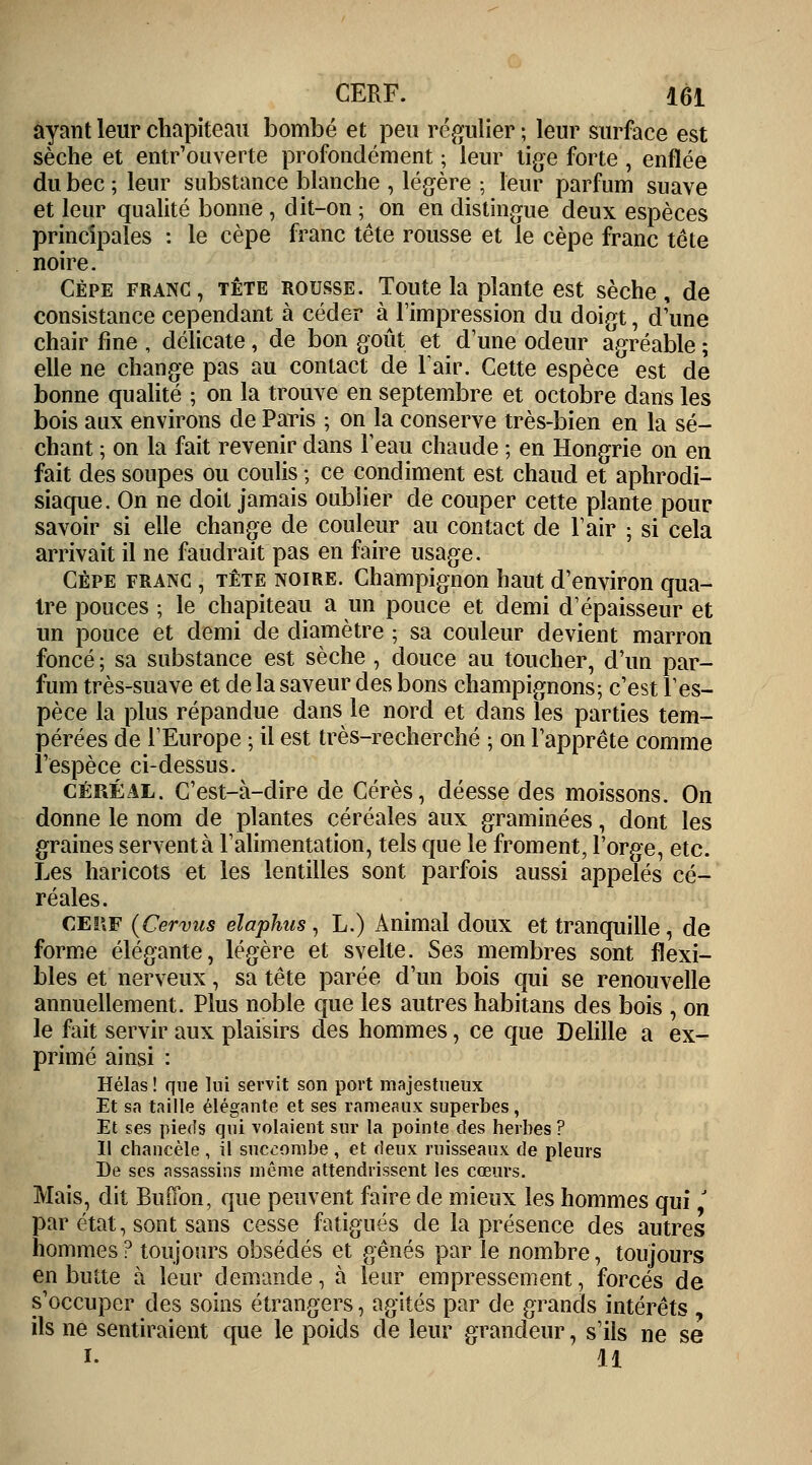 ayant leur chapiteau bombé et peu régulier ; leur surface est sèche et entrouverte profondément ; leur tige forte , enflée du bec ; leur substance blanche , légère ; leur parfum suave et leur qualité bonne , dit-on ; on en distingue deux espèces principales : le cèpe franc tête rousse et le cèpe franc tête noire. Cèpe franc, tête rousse. Toute la plante est sèche, de consistance cependant à céder à l'impression du doigt, d'une chair fine , délicate, de bon goût et dune odeur agréable ; elle ne change pas au contact de l'air. Cette espèce est de bonne qualité ; on la trouve en septembre et octobre dans les bois aux environs de Paris ; on la conserve très-bien en la sé- chant ; on la fait revenir dans l'eau chaude ; en Hongrie on en fait des soupes ou coulis ; ce condiment est chaud et aphrodi- siaque. On ne doit jamais oublier de couper cette plante pour savoir si elle change de couleur au contact de l'air ; si cela arrivait il ne faudrait pas en faire usage. Cèpe franc , tête noire. Champignon haut d'environ qua- tre pouces ; le chapiteau a un pouce et demi d'épaisseur et un pouce et demi de diamètre ; sa couleur devient marron foncé ; sa substance est sèche , douce au toucher, d'un par- fum très-suave et de la saveur des bons champignons; c'est l'es- pèce la plus répandue dans le nord et dans les parties tem- pérées de l'Europe ; il est très-recherché ; on l'apprête comme l'espèce ci-dessus. céréal. C'est-à-dire de Cérès, déesse des moissons. On donne le nom de plantes céréales aux graminées, dont les graines servent à l'alimentation, tels que le froment, l'orge, etc. Les haricots et les lentilles sont parfois aussi appelés cé- réales. cerf (Cervus elaphus, L.) Animal doux et tranquille, de forme élégante, légère et svelte. Ses membres sont flexi- bles et nerveux, sa tête parée d'un bois cmi se renouvelle annuellement. Plus noble que les autres habitans des bois , on le fait servir aux plaisirs des hommes, ce que Delille a ex- primé ainsi : Hélas ! que lui servit son port majestueux Et sa taille élégante et ses rameaux superbes, Et ses pieds qui volaient sur la pointe des herbes ? Il chancelé , il succombe , et deux ruisseaux de pleurs De ses assassins même attendrissent les cœurs. Mais, dit Buffon, que peuvent faire de mieux les hommes qui J par état, sont sans cesse fatigués de la présence des autres hommes ? toujours obsédés et gênés par le nombre, toujours en butte à leur demande, à leur empressement, forcés de s'occuper des soins étrangers, agités par de grands intérêts , ils ne sentiraient que le poids de leur grandeur, s'ils ne se i. 11