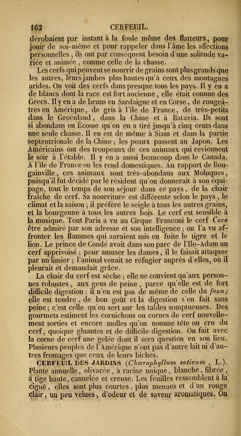 dérobaient par instant à la foule même des flatteurs, pour jouir de soi-même et pour rappeler dans lame les affections personnelles ; ils ont par conséquent besoin dune solitude va- riée et animée , comme celle de la chasse. Les cerfs qui peuvent se nourrir de grains sont plus grands que les autres, leurs jambes plus hautes qu'à ceux des montagnes arides. On voit des cerfs dans presque tous les pays. Il y en a de blancs dont la race est fort ancienne, elle était connue des Grecs. Il y en a de bruns en Sardaigne et en Corse, de rougeâ- tres en Amérique, de gris à l'île de France, de très-petits dans le Groenland, dans la Chine et à Batavia. Ils sont si abondans en Ecosse qu'on en a tiré jusqu'à cinq cents dans une seule chasse. Il en est de même à Siam et dans la partie septentrionale de la Chine ; les peaux passent au Japon. Les Américains ont des troupeaux de ces animaux qui reviennent le soir à l'étable. Il y en a aussi beaucoup dans le Canada. A l'île de France on les rend domestiques. Au rapport de Bou- gainville, ces animaux sont très-abondans aux Moluques, puisqu'il fut décidé parle résident qu'on donnerait à son équi- page, tout le temps de son séjour dans ce pays, de la chair fraîche de cerf. Sa nourriture est différente selon le pays , le climat et la saison ; il préfère le seigle à tous les autres grains, et la bourgenne à tous les autres dois. Le cerf est sensible à la musique. Tout Paris a vu au Cirque Franconi le cerf Coco être admiré par son adresse et son intelligence ; on l'a vu af- fronter les flammes qui auraient mis en fuite le tigre et le lion. Le prince de Condé avait dans son parc de l'Ile-Adam un cerf apprivoisé ; pour amuser les dames, il le faisait attaquer par un limier ; l'animal venait se réfugier auprès d'elles, où il pleurait et demandait grâce. La chair du cerf est sèche ; elle ne convient qu'aux person- nes robustes , aux gens de peine, parce qu'elle est de fort difficile digestion ; il n'en est pas de même de celle du faon; elle est tendre , de bon goût et la digestion s'en fait sans peine; c'est celle qu'on sert sur les tables somptueuses. Des gourmets estiment les cornichons ou cornes de cerf nouvelle- ment sorties et encore molles qu'on nomme tête ou cru du cerf, quoique gluantes et de difficile digestion. On fait avec la corne de cerf une gelée dont il sera question en son lieu. Plusieurs peuples de l'Amérique n'ont pas d'autre lait ni d'au- tres fromages que ceux de leurs biches. CERFEUîL DES JARDINS (Chœrophyllum sativum , L.). Plante annuelle, olivacée , à racine unique, blanche, fibrée , àtige haute, cannelée et creuse. Les feuilles ressemblent à la ciguë, elles sont plus courtes, plus menues et d'un rouge clair, un peu velues, d'odeur et de saveur aromatiques. On