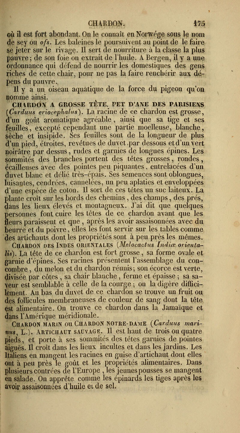 CHARDON. 475 où il est fort abondant. On le connaît en Norwége sous le nom de sey ou ofs. Les baleines le poursuivent au point de le faire se jeter sur le rivage. Il sert de nourriture à la classe la plus pauvre; de son foie on extrait de l'huile. A Bergen, il y a une ordonnance qui défend de nourrir les domestiques des gens riches de cette chair, pour ne pas la faire renchérir aux dé- pens du pauvre. Il y a un oiseau aquatique de la force du pigeon qu'on nomme ainsi. CHARDON A GROSSE TETE. PET D'ANE DES PARISIENS [Cardans eriocephalus). La racine de ce chardon est grosse, d'un goût aromatique agréable , ainsi que sa tige et ses feuilles, excepté cependant une partie moelleuse, blanche, sèche et insipide. Ses feuilles sont de la longueur de plus d'un pied, étroites, revêtues de duvet ,par dessous et d'un vert noirâtre par dessus, rudes et garnies de longues épines. Les sommités des branches portent des têtes grosses, rondes, écailleuses avec des pointes peu piquantes, entrelacées d'un duvet blanc et délié très-épais. Ses semences sont oblongues, luisantes, cendrées, cannelées, un peu aplaties et enveloppées d'une espèce de coton. Il sort de ces têtes un suc laiteux. La plante croît sur les bords des chemins , des champs, des prés, dans les lieux élevés et montagneux. J'ai dit que quelques personnes font cuire les têtes de ce chardon avant que les fleurs paraissent et que , après les avoir assaisonnées avec du beurre et du poivre, elles les font servir sur les tables comme des artichauts dont les propriétés sont à peu près les mêmes. CHARDON DES INDES ORIENTALES [Melocactus Indice orienta- Us). La tête de ce chardon est fort grosse, sa forme ovale et garnie d'épines. Ses racines présentent'l'assemblage du con- combre , du melon et du chardon réunis; son écorce est verte, divisée par côtes , sa chair blanche , ferme et épaisse ; sa sa- veur est semblable à celle de la courge ; on la digère diffici- lement. Au bas du duvet de ce chardon se trouve un fruit ou des follicules membraneuses de couleur de sang dont la tête est alimentaire. On trouve ce chardon dans la Jamaïque et dans l'Amérique méridionale. Chardon marin ou Chardon notre-dame (Carduus mari- nus, L.). Artichaut sauvage. Il est haut de trois ou quatre pieds, et porte à ses sommités des têtes garnies de pointes aiguës. Il croît dans les lieux incultes ei dans les jardins. Les Italiens en mangent les racines en guise d'artichaut dont elles ont à peu près le goût et les propriétés alimentaires. Dans plusieurs contrées de l'Europe , les jeunes pousses se mangent en salade. On apprête comme les é pinards les tiges après les avoir assaisonnées d'huile et de sel,