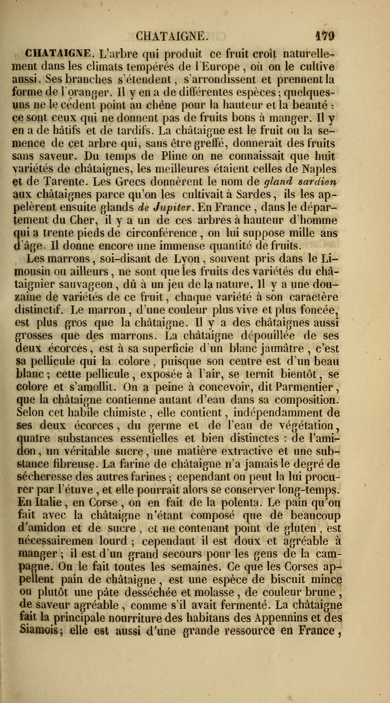 CHATAIGNE. L'arbre qui produit ce fruit croit naturelle- ment dans les climats tempérés de l'Europe , où on le cultive aussi. Ses branches s'étendent, s'arrondissent et prennent la forme de roranger. Il y en a de différentes espèces ; quelques- uns ne le cèdent point au chêne pour la hauteur et la beauté : ce sont ceux qui ne donnent pas de fruits bons à manger. Il y en a de hâtifs et de tardifs. La châtaigne est le fruit ou la se- mence de cet arbre qui, sans être greffé, donnerait des fruits sans saveur. Du temps de Pline on ne connaissait que huit variétés de châtaignes, les meilleures étaient celles de Naples et de Tarente. Les Grecs donnèrent le nom de gland sardien aux châtaignes parce qu'on les cultivait à Sardes, ils les ap- pelèrent ensuite glands de Jupiter. En France , dans le dépar- tement du Cher, il y a un de ces arbres à hauteur d'homme qui a trente pieds de circonférence, on lui suppose mille ans d'âge. Il donne encore une immense quantité de fruits. Les marrons, soi-disant de Lyon, souvent pris dans le Li- mousin ou ailleurs, ne sont que les fruits des variétés du châ- taignier sauvageon, dû à un jeu de la nature. Il y a une dou- zaine de variétés de ce fruit, chaque variété à son caractère distinctif. Le marron, d'une couleur plus vive et plus foncée, est plus gros que la châtaigne. H y a des châtaignes aussi grosses que des marrons. La châtaigne dépouillée de ses deux écorces, est à sa superficie dun blanc jaunâtre , c'est sa pellicule qui la colore \ puisque son centre est d'un beau blanc ; cette pellicule, exposée à l'air, se ternit bientôt, se colore et s'amollit. On a peine à concevoir, dit Parmentier, que la châtaigne contienne autant d'eau dans sa composition. Selon cet habile chimiste , elle contient, indépendamment de ses deux écorces, du germe et de l'eau de végétation, quatre substances essentielles et bien distinctes : de l'ami- don , un véritable sucre, une matière extractive et une sub- stance fibreuse. La farine de châtaigne n'a jamais le degré de sécheresse des autres farines ; cependant on peut la lui procu- rer par Tétuve, et elle pourrait alors se conserver long-temps. En Italie, en Corse , on en fait de la polenta. Le pain qu'on fait avec la châtaigne n'étant composé que dé beaucoup d'amidon et de sucre , et ne contenant point de gluten, est nécessairemen lourd ; cependant il est doux et agréable à manger ; il est d'un grand secours pour les gens de la cam- pagne. On le fait toutes les semaines. Ce que les Corses ap- pellent pain de châtaigne, est une espèce de biscuit mince ou plutôt une pâte desséchée et molasse, de couleur brune , de saveur agréable , comme s'il avait fermenté. La châtaigne fait la principale nourriture des habitans des Appennins et des Siamois ; elle est aussi d'une grande ressource en France,