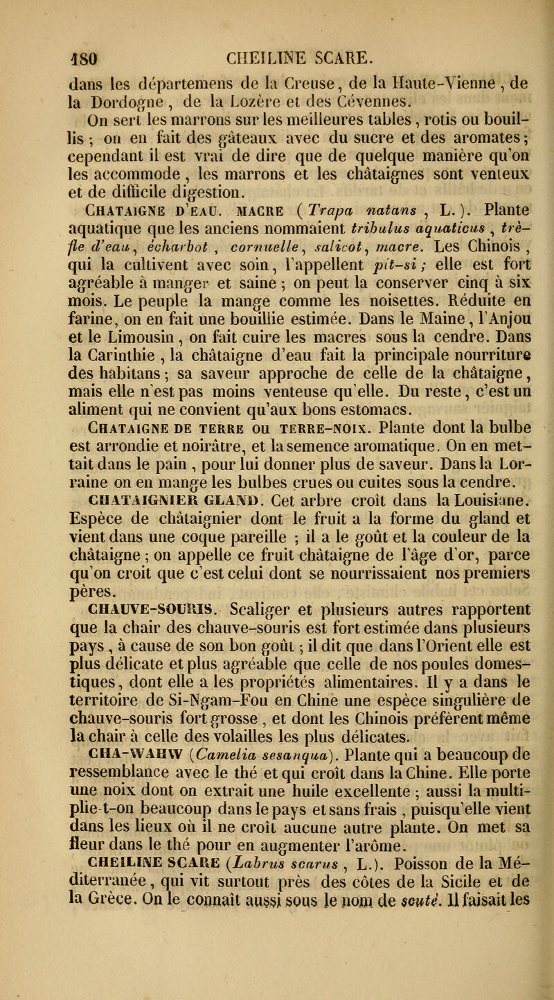 dans les départemens de la Creuse, de la Haute-Vienne , de la Dordogne , de la Lozère et des Cévennes. On sert les marrons sur les meilleures tables, rôtis ou bouil- lis ; on en fait des gâteaux avec du sucre et des aromates ; cependant il est vrai de dire que de quelque manière qu'on les accommode, les marrons et les châtaignes sont venteux et de difficile digestion. Châtaigne d'eau, macre (Trapa natans , L. ). Plante aquatique que les anciens nommaient trihulus aquaticm , trè- fle d'eau, êcharbot , cornuelle, salicot, macre. Les Chinois , qui la cultivent avec soin, rappellent pit-si ; elle est fort agréable à manger et saine ; on peut la conserver cinq à six mois. Le peuple la mange comme les noisettes. Réduite en farine, on en fait une bouillie estimée. Dans le Maine, Y Anjou et le Limousin, on fait cuire les macres sous la cendre. Dans la Garinthie , la châtaigne d'eau fait la principale nourriture des habitans ; sa saveur approche de celle de la châtaigne, mais elle nestpas moins venteuse quelle. Du reste, c'est un aliment qui ne convient qu'aux bons estomacs. Châtaigne de terre ou terre-noix. Plante dont la bulbe est arrondie et noirâtre, et la semence aromatique. On en met- tait dans le pain , pour lui donner plus de saveur. Dans la Lor- raine on en mange les bulbes crues ou cuites sous la cendre. châtaignier gland. Cet arbre croit dans la Louisiane. Espèce de châtaignier dont le fruit a la forme du gland et vient dans une coque pareille ; il a le goût et la couleur de la châtaigne ; on appelle ce fruit châtaigne de l'âge d'or, parce qu'on croit que c'est celui dont se nourrissaient nos premiers pères. chauve-SOL'MS. Scaliger et plusieurs autres rapportent que la chair des chauve-souris est fort estimée dans plusieurs pays , à cause de son bon goût ; il dit que dans l'Orient elle est plus délicate et plus agréable que celle de nos poules domes- tiques, dont elle a les propriétés alimentaires. Il y a dans le territoire de Si-Ngam-Fou en Chine une espèce singulière de chauve-souris fort grosse , et dont les Chinois préfèrent même la chair à celle des volailles les plus délicates. CHA-wahw (Camélia sesanqua). Plante qui a beaucoup de ressemblance avec le thé et qui croît dans la Chine. Elle porte une noix dont on extrait une huile excellente ; aussi la multi- plie t-on beaucoup dans le pays et sans frais , puisqu'elle vient dans les lieux où il ne croît aucune autre plante. On met sa fleur dans le thé pour en augmenter l'arôme. cheiline SCARE (Labms scarus , L.). Poisson de la Mé- diterranée , qui vit surtout près des côtes de la Sicile et de la Grèce. On le connaît aussi sous le nom de soute. Il faisait les