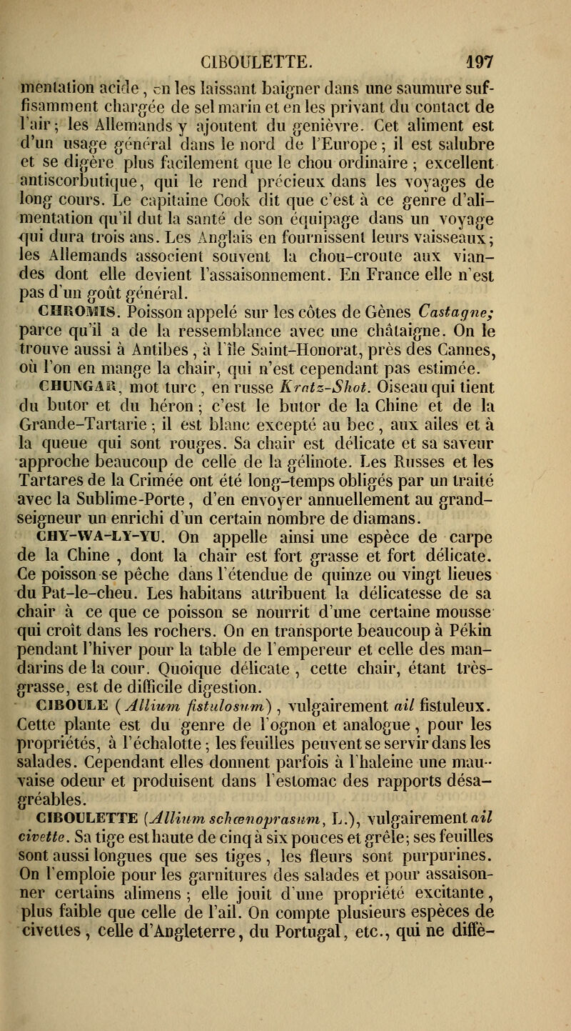 menlalion acide , en les laissant baigner dans une saumure suf- fisamment chargée de sel marin et en les privant du contact de l'air; les Allemands y ajoutent du genièvre. Cet aliment est d'un usage général dans le nord de l'Europe ; il est salubre et se digère plus facilement que le chou ordinaire ; excellent antiscorbutique, qui le rend précieux dans les voyages de long cours. Le capitaine Cook dit que c'est à ce genre d'ali- mentation qu'il dut la santé de son équipage dans un voyage qui dura trois ans. Les Anglais en fournissent leurs vaisseaux; les Allemands associent souvent la chou-croute aux vian- des dont elle devient l'assaisonnement. En France elle n'est pas d'un goût général. CHromis. Poisson appelé sur les côtes de Gènes Castagne; parce qu'il a de la ressemblance avec une châtaigne. On le trouve aussi à Antibes , à l'île Saint-Honorat, près des Cannes, où l'on en mange la chair, qui n'est cependant pas estimée. CHUNGAii, mot turc , en russe Kmtz-Shot. Oiseau qui tient du butor et du héron ; c'est le butor de la Chine et de la Grande-Tartarie ■ il est blanc excepté au bec, aux ailes et à la queue qui sont rouges. Sa chair est délicate et sa saveur approche beaucoup de celle de la gélinote. Les Russes et les Tartares de la Crimée ont été long-temps obligés par un traité avec la Sublime-Porte, d'en envoyer annuellement au grand- seigneur un enrichi d'un certain nombre de diamans. chy-wa-ly-yu. On appelle ainsi une espèce de carpe de la Chine , dont la chair est fort grasse et fort délicate. Ce poisson se pêche dans l'étendue de quinze ou vingt lieues du Pat-le-cheu. Les habitans attribuent la délicatesse de sa chair à ce que ce poisson se nourrit d'une certaine mousse qui croît dans les rochers. On en transporte beaucoup à Pékin pendant l'hiver pour la table de l'empereur et celle des man- darins de la cour. Quoique délicate, cette chair, étant très- grasse, est de difficile digestion. ciboule (Allium fistulosum), vulgairement ail fistuleux. Cette plante est du genre de l'ognon et analogue, pour les propriétés, à l'échalotte; les feuilles peuvent se servir dans les salades. Cependant elles donnent parfois à l'haleine une mau- vaise odeur et produisent dans l'estomac des rapports désa- gréables. CIBOULETTE {Allium schœnoprasum, L.), vulgairement ail civette. Sa tige est haute de cinq à six pouces et grêle; ses feuilles sont aussi longues que ses tiges, les fleurs sont purpurines. On l'emploie pour les garnitures des salades et pour assaison- ner certains alimens ; elle jouit d'une propriété excitante, plus faible que celle de l'ail. On compte plusieurs espèces de civettes, celle d'Angleterre, du Portugal, etc., qui ne diffè-