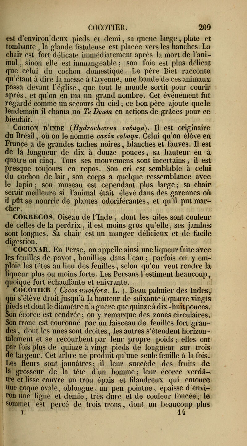 est d'environ'deux pieds et demi, sa queue large, plate et tombante , la glande fîstuleuse est placée vers les hanches La chair est fort délicate immédiatement après la mort de l'ani- mal , sinon elle est immangeable ; son foie est plus délicat que celui du cochon domestique. Le père Biet racconte qu'étant à dire la messe à Cayenne, une bande de ces animaux passa devant l'église , que tout le monde sortit pour courir après, et qu'on en tua un grand nombre. Cet événement fut regardé comme un secours du ciel ; ce bon père ajoute que le lendemain il chanta un Te Deum en actions de grâces pour ce bienfait. Cochon d'inde (Hydrochœrus cobaya). Il est originaire du Brésil, où on le nomme cavia cobaya. Celui qu'on élève en France a de grandes taches noires, blanches et fauves. Il est de la longueur de dix à douze pouces, sa hauteur en a quatre ou cinq. Tous ses mouvemens sont incertains, il est presque toujours en repos. Son cri est semblable à celui du cochon de lait, son corps a quelque ressemblance avec le lapin; son museau est cependant plus large; sa chair serait meilleure si l'animal était élevé dans des garennes où il pût se nourrir de plantes odoriférantes, et qu'il put mar- cher. COKRECOS. Oiseau de l'Inde , dont les ailes sont couleur de celles de la perdrix, il est moins gros qu'elle, ses jambes sont longues. Sa chair est un manger délicieux et de facile digestion. COCONAR. En Perse, on appelle ainsi une liqueur faite avec les feuilles de pavot, bouillies dans l'eau ; parfois on y em- ploie les têtes au lieu des feuilles, selon qu'on veut rendre la liqueur plus ou moins forte. Les Persans Y estiment beaucoup, quoique fort échauffante et enivrante. Cocotier ( Cocos nucifera. L. ). Beau palmier des Indes, qui s'élève droit jusqu'à la hauteur de soixante à quatre vingts pieds et dont le diamètre n1 a guère que quinze à dix-huit pouces. Son écorce est cendrée; on y remarque des zones circulaires. Son tronc est couronné par un faisceau de feuilles fort gran- des , dont les unes sont droites, les autres s'étendent horizon- talement et se recourbent par leur propre poids ; elles ont par fois plus de quinze à vingt pieds de longueur sur trois de largeur. Cet arbre ne produit qu'une seule feuille à la fois. Les fleurs sont jaunâtres; il leur succède des fruits de la grosseur de la tête d'un homme; leur écorce verdâ- tre et lisse couvre un trou épais et filandreux qui entoure une coque ovale, oblongue, un peu pointue, épaisse d'envi- ron une ligne et demie, très-dure et de couleur foncée ; le sommet est percé de trois trous, dont un beaucoup plus i. 14