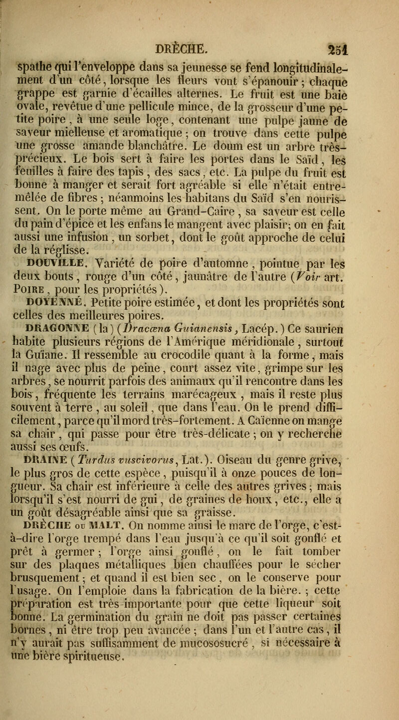 spathe qui l'enveloppe dans sa jeunesse se fend longitudinale- ment d'un côté, lorsque les fleurs vont s'épanouir ; chaque grappe est garnie d'écaillés alternes. Le fruit est une baie ovale, revêtue dune pellicule mince, de la grosseur d'une pe- tite poire , à une seule loge, contenant une pulpe jaune de saveur mielleuse et aromatique ; on trouve dans cette pulpe une grosse amande blanchâtre. Le doum est un arbre très- précieux. Le bois sert à faire les portes dans le Saïd, les feuilles à faire des tapis , des sacs, etc. La pulpe du fruit est bonne à manger et serait fort agréable si elle n'était entre- mêlée de fibres ; néanmoins les habitans du Saïd s'en nouris- sent. On le porte même au Grand-Caire , sa saveur est celle du pain d'épice et les enfans le mangent avec plaisir; on en fait aussi une infusion , un sorbet, dont le goût approche de celui de la réglisse. douville. Variété de poire d'automne , pointue par les deux bouts, rouge d'un côté, jaunâtre de l'autre (Voir art. Poire pour les propriétés). doyenné. Petite poire estimée, et dont les propriétés sont celles des meilleures poires. DRAGONNE ( la ) (Dracœna Guianensis} Lacép. ) Ce saurieil habite plusieurs régions de l'Amérique méridionale , surtout la Guïane. Il ressemble au crocodile quant à la forme, mais il nage avec plus de peine, court assez vite, grimpe sur les arbres, se nourrit parfois des animaux qu'il rencontre dans les bois, fréquente les terrains marécageux , mais il reste plus souvent à terre , au soleil, que dans l'eau. On le prend diffi- cilement , parce qu'il mord très-fortement. A Caienne on mange sa chair , qui passe pour être très-délicate ; on y recherche aussi ses œufs. duaiînse ( Tardas vuscivorus, Lat.). Oiseau du genre grive, le plus gros de cette espèce, puisqu'il à onze pouces de lon- gueur. Sa chair est inférieure à celle des autres grives ; mais lorsqu'il s'est nourri de gui, de graines de houx, etc., elle a un goût désagréable ainsi que sa graisse. drêciie ou malt. On nomme ainsi le marc de l'orge, c'est- à-dire Forge trempé dans l'eau jusqu'à ce qu'il soit gonflé et prêt à germer ; l'orge ainsi gonflé, on le fait tomber sur des plaques métalliques bien chauffées pour le sécher brusquement ; et quand il est bien sec , on le conserve pour l'usage. On l'emploie clans la fabrication de la bière. ; cette préparation est très-importante pour que cette liqueur soit bonne. La germination du grain ne doit pas passer certaines bornes , ni être trop peu avancée ; dans l'un et l'autre cas, il n'y aurait pas suffisamment de mucososucré , si nécessaire à une bière spiritueuse.