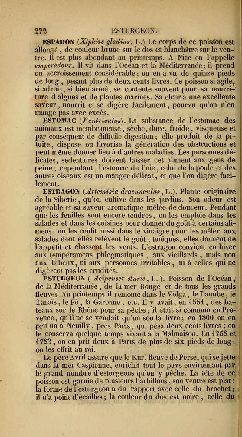 ESPADON {Xiphias gladius, L.) Le corps de ce poisSoil est allongé , de couleur brune sur le dos et blanchâtre sur le ven- tre. Il est plus abondant au printemps. A Nice on l'appelle emperadour. Il vit dans l'Océan et la Méditerranée ; il prend un accroissement considérable ; on en a vu de quinze pieds de long , pesant plus de deux cents livres. Ce poisson si agile, si adroit, si bien armé, se contente souvent pour sa nourri- ture d'algues et de plantes marines. Sa chair a une excellente saveur, nourrit et se digère facilement, pourvu qu'on n'en mange pas avec excès. estomac (Fentricutus). La substance de l'estomac des animaux est membraneuse, sèche, dure, froide, visqueuse et par conséquent de difficile digestion ; elle produit de la pi- tuite, dispose ou favorise la génération des obstructions et peut même donner lieu à d'autres maladies. Les personnes dé- licates, sédentaires doivent laisser cet aliment aux gens de peine ; cependant, l'estomac de l'oie, celui de la poule et des autres oiseaux est un manger délicat, et que l'on digère faci- lement. ESTRAGON (Artemisia dracunculus, L.). Plante originaire de la Sibérie, qu'on cultive dans les jardins. Son odeur est agréable et sa saveur aromatique mêlée de douceur. Pendant que les feuilles sont encore tendres, on les emploie dans les salades et dans les cuisines pour donner du goût à certains ali- mens ; on les confit aussi dans le vinaigre pour les mêler aux salades dont elles relèvent le goût ; toniques, elles donnent de l'appétit et chassent les vents. L'estragon convient en hiver aux tempéramens phlegmatiques , aux vieillards , mais non aux bilieux, ni aux personnes irritables , ni à celles qui ne digèrent pas les crudités. ESTURGEON (Acipehser sturio, L. ). Poisson de l'Océan, de la Méditerranée, de la mer Rouge et de tous les grands fleuves. Au printemps il remonte dans le Volga, le Danube, le Tanaïs, le Pô, la Garonne , etc. Il y avait, en 1551, des ba- teaux sur le Rhône pour sa pêche ; il était si commun en Pro- vence, qu'il ne se vendait qu'un sou la livre ; en 1800 on en prit un à Neuilly, près Paris , qui pesa deux cents livres ; on le conserva quelque temps vivant à la Malmaison. En 1758 et 1782, on en prit deux à Paris de plus de six pieds de long : on les offrit au roi. Le père Avril assure que le Kur, fleuve de Perse, qui se jette dans la mer Caspienne, enrichit tout le pays environnant par le grand nombre d'esturgeons qu'on y pêche. La tête de ce poisson est garnie de plusieurs barbillons, son ventre est plat : la forme de l'esturgeon a du rapport avec celle du brochet ; il n'a point d'écaillés ; la couleur du dos est noire , celle du