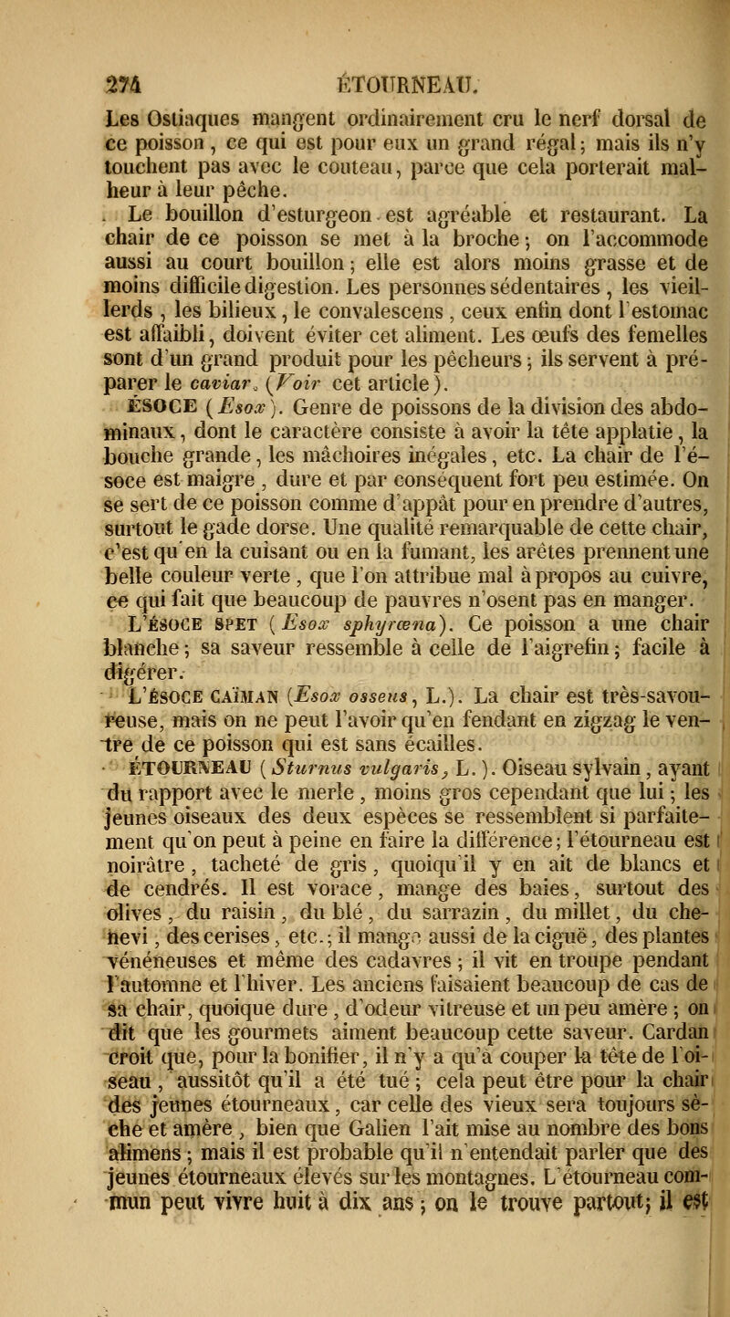 Les Osliaques mandent ordinairement cru le nerf dorsal de ce poisson , ce qui est pour eux un grand régal ; mais ils n'y touchent pas avec le couteau, parce que cela porterait mal- heur à leur pêche. . Le bouillon d'esturgeon est agréable et restaurant. La chair de ce poisson se met à la broche -, on l'accommode aussi au court bouillon ; elle est alors moins grasse et de moins difficile digestion. Les personnes sédentaires , les vieil- lerds , les bilieux, le convalescens , ceux enfin dont l'estomac est affaibli, doivent éviter cet aliment. Les œufs des femelles sont dun grand produit pour les pêcheurs ; ils servent à pré- parer le caviar, {Voir cet article). ÉSOCE (Esoœ ). Genre de poissons de la division des abdo- minaux , dont le caractère consiste à avoir la tête applatie , la bouche grande, les mâchoires inégales, etc. La chair de l'é- soce est maigre , dure et par conséquent fort peu estimée. On se sert de ce poisson comme d'appât pour en prendre d'autres, surtout le gade dorse. Une qualité remarquable de cette chair, c'est qu'en la cuisant ou en la fumant, les arêtes prennent une belle couleur verte , que l'on attribue mal à propos au cuivre, ce qui fait que beaucoup de pauvres n'osent pas en manger. L'ésoce spet {Esox sphyrœna). Ce poisson a une chair blanche ; sa saveur ressemble à celle de l'aigrefin ; facile à digérer. L'ésoce caïman (Esoœ osseus, L.). La chair est très-savou- mise, mais on ne peut l'avoir qu'en fendant en zigzag le ven- dre de ce poisson qui est sans écailles. étourneau ( Sturnus vulgaris, L. ). Oiseau Sylvain, ayant du rapport avec le merle , moins gros cependant que lui ; les jeunes oiseaux des deux espèces se ressemblent si parfaite- ment qu'on peut à peine en faire la différence; l'étourneau est noirâtre, tacheté de gris, quoiqu il y en ait de blancs et de cendrés. 11 est vorace, mange des baies, surtout des olives , du raisin , du blé , du sarrazin , du millet, du che- hevi, des cerises, etc. ; il mango aussi de la ciguë, des plantes vénéneuses et. même des cadavres ; il vit en troupe pendant 1 automne et l'hiver. Les anciens faisaient beaucoup de cas de sa chair, quoique dure , d'odeur vitreuse et un peu amère ; on | dit que les gourmets aiment beaucoup cette saveur. Cardan croit que, pour la bonifier, il n'y a qu'à couper la tête de 1 oi- seau , aussitôt qu'il a été tué ; cela peut être pour la chair des jeunes étourneaux, car celle des vieux sera toujours sè- che et amère , bien que Galien l'ait mise au nombre des bons alimens ; mais il est probable qu'il n'entendait parler que des jeunes étourneaux élevés sur les montagnes, L'étourneau com- mun peut vivre huit à dix ans \ on le trouve partout j il e#