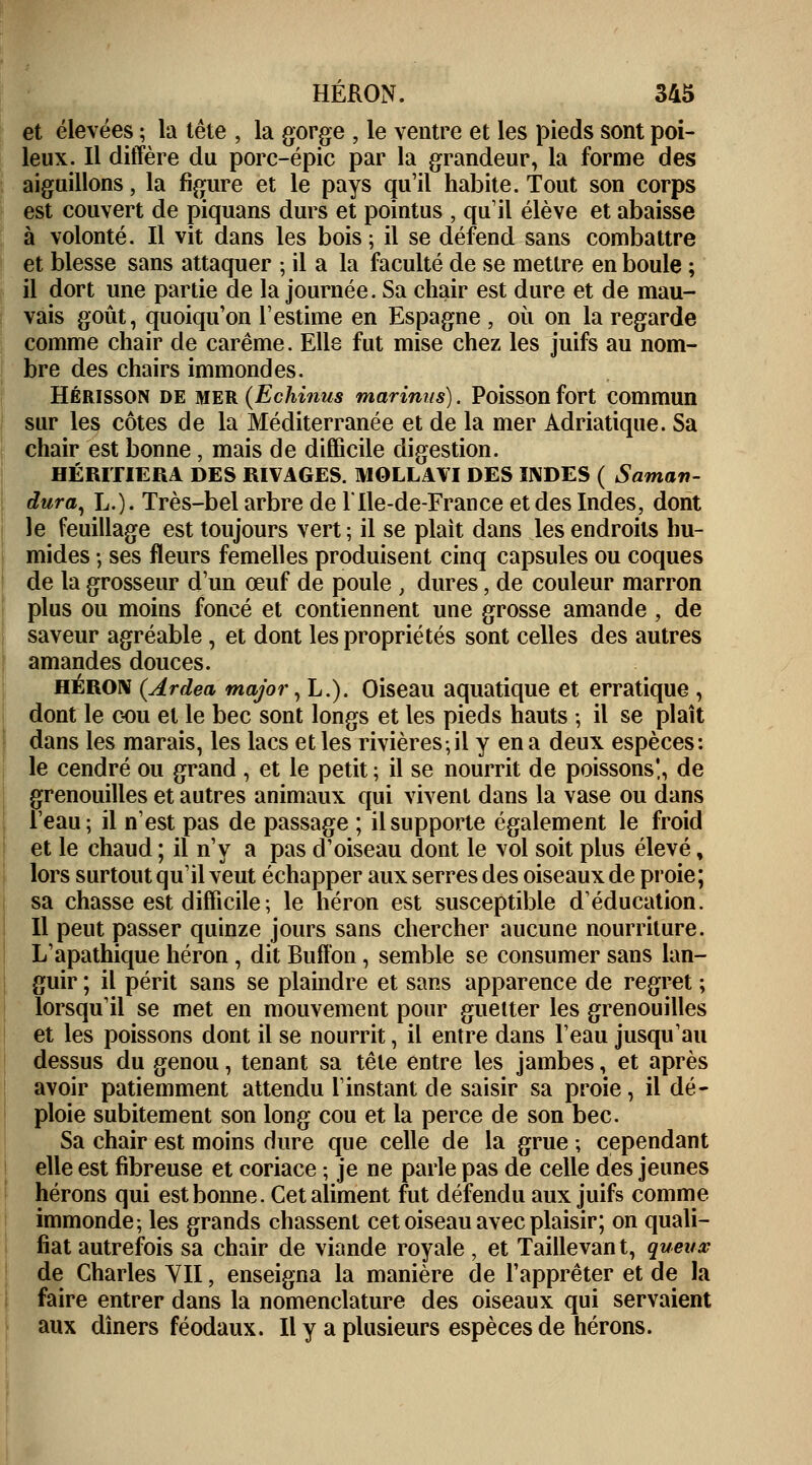 et élevées ; la tête , la gorge , le ventre et les pieds sont poi- leux. Il diffère du porc-épic par la grandeur, la forme des aiguillons, la figure et le pays qu'il habite. Tout son corps est couvert de piquans durs et pointus , qu'il élève et abaisse à volonté. Il vit dans les bois; il se défend sans combattre et blesse sans attaquer ; il a la faculté de se mettre en boule ; il dort une partie de la journée. Sa chair est dure et de mau- vais goût, cjuoiqu'on l'estime en Espagne , où on la regarde comme chair de carême. Elle fut mise chez les juifs au nom- bre des chairs immondes. Hérisson de mer (Echinus mariniis). Poisson fort commun sur les côtes de la Méditerranée et de la mer Adriatique. Sa chair est bonne , mais de difficile digestion. HÉRITIERA DES RIVAGES. MOLLAVI DES INDES ( Saman- dura, L.). Très-bel arbre de l'Ile-de-France et des Indes, dont le feuillage est toujours vert ; il se plaît dans les endroits hu- mides ; ses fleurs femelles produisent cinq capsules ou coques de la grosseur d'un œuf de poule ; dures, de couleur marron plus ou moins foncé et contiennent une grosse amande , de saveur agréable , et dont les propriétés sont celles des autres amandes douces. héron (Ardea major, L.). Oiseau aquatique et erratique , dont le cou et le bec sont longs et les pieds hauts ; il se plaît dans les marais, les lacs et les rivières,il y en a deux espèces: le cendré ou grand , et le petit ; il se nourrit de poissons!, de grenouilles et autres animaux qui vivent dans la vase ou dans l'eau; il n'est pas de passage ; il supporte également le froid et le chaud ; il n'y a pas d'oiseau dont le vol soit plus élevé, lors surtout qu'il veut échapper aux serres des oiseaux de proie; sa chasse est difficile ; le héron est susceptible d'éducation. Il peut passer quinze jours sans chercher aucune nourriture. L'apathique héron, dit Buffon, semble se consumer sans lan- guir ; il périt sans se plaindre et sans apparence de regret ; lorsqu'il se met en mouvement pour guetter les grenouilles et les poissons dont il se nourrit, il entre dans l'eau jusqu'au dessus du genou, tenant sa tête entre les jambes, et après avoir patiemment attendu l'instant de saisir sa proie, il dé- ploie subitement son long cou et la perce de son bec. Sa chair est moins dure que celle de la grue ; cependant elle est fibreuse et coriace ; je ne parle pas de celle des jeunes hérons qui est bonne. Cet aliment fut défendu aux juifs comme immonde-, les grands chassent cet oiseau avec plaisir; on quali- fiât autrefois sa chair de viande royale , et Taillevan t, queux de Charles YII, enseigna la manière de l'apprêter et de la faire entrer dans la nomenclature des oiseaux qui servaient aux dîners féodaux. Il y a plusieurs espèces de hérons.