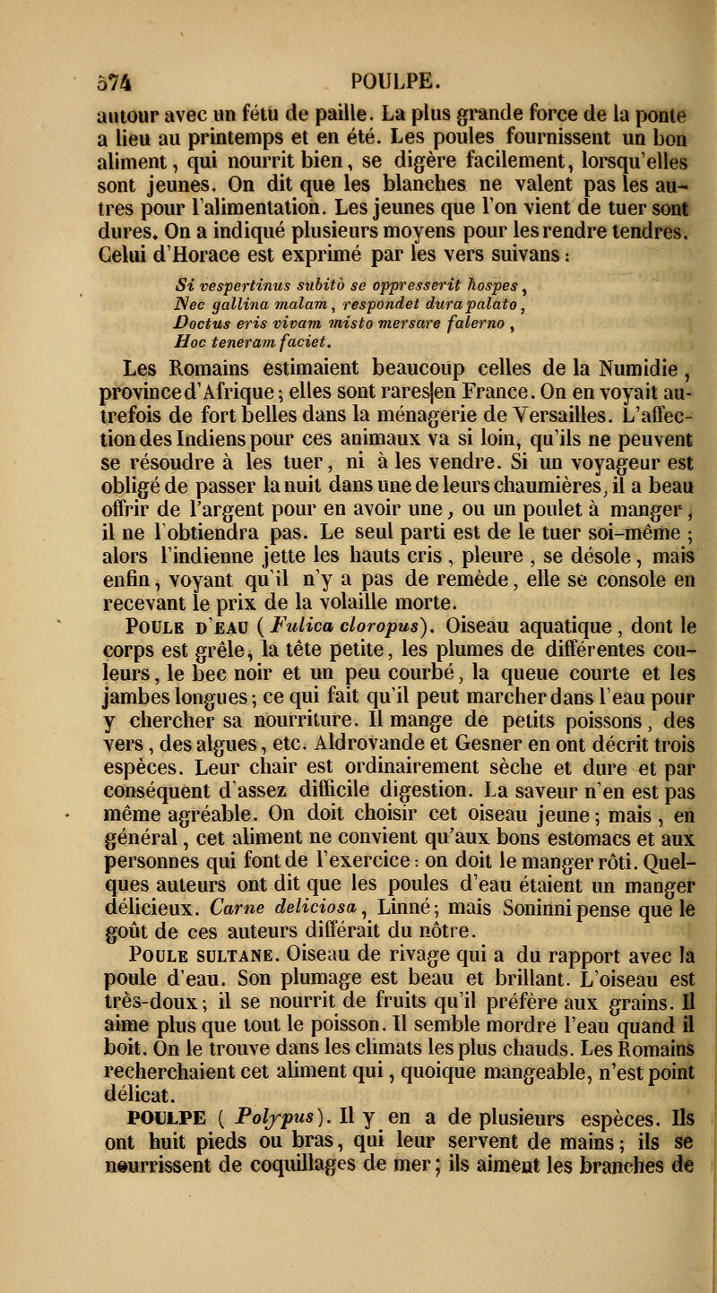 autour avec un fétu de paille. La plus grande force de la ponte a lieu au printemps et en été. Les poules fournissent un bon aliment, qui nourrit bien, se digère facilement, lorsqu'elles sont jeunes. On dit que les blanches ne valent pas les au- tres pour l'alimentation. Les jeunes que l'on vient de tuer sont dures» On a indiqué plusieurs moyens pour les rendre tendres. Celui d'Horace est exprimé par les vers suivans : Si vespertinus subito se oppresserit hospes, Nec gallina malam, respondet dura palato, Doctus eris vivam misto mersare falerno , Hoc teneram faciet. Les Romains estimaient beaucoup celles de la Numidie, province d'Afrique ; elles sont rares|en France. On en voyait au- trefois de fort belles dans la ménagerie de Versailles. L'affec- tion des Indiens pour ces animaux va si loin, qu'ils ne peuvent se résoudre à les tuer, ni à les vendre. Si un voyageur est obligé de passer la nuit dans une de leurs chaumières, il a beau offrir de l'argent pour en avoir une, ou un poulet à manger, il ne lobtiendra pas. Le seul parti est de le tuer soi-même ; alors l'indienne jette les hauts cris , pleure , se désole, mais enfin, voyant qu'il n'y a pas de remède, elle se console en recevant le prix de la volaille morte. Poule d'eau ( Fulica cloropus). Oiseau aquatique , dont le corps est grêle, la tête petite, les plumes de différentes cou- leurs , le bec noir et un peu courbé, la queue courte et les jambes longues -, ce qui fait qu'il peut marcher dans l'eau pour y chercher sa nourriture. Il mange de petits poissons, des vers, des algues, etc. Aldrovande et Gesner en ont décrit trois espèces. Leur chair est ordinairement sèche et dure et par conséquent d'assez difficile digestion. La saveur n'en est pas même agréable. On doit choisir cet oiseau jeune; mais, en général, cet aliment ne convient qu'aux bons estomacs et aux personnes qui font de l'exercice : on doit le manger rôti. Quel- ques auteurs ont dit que les poules d'eau étaient un manger délicieux. Came deliciosa, Linné; mais Soninnipense que le goût de ces auteurs différait du nôtre. Poule sultane. Oiseau de rivage qui a du rapport avec la poule d'eau. Son plumage est beau et brillant. L'oiseau est très-doux-, il se nourrit de fruits qu'il préfère aux grains. Il aime plus que tout le poisson. Il semble mordre l'eau quand il boit. On le trouve dans les climats les plus chauds. Les Romains recherchaient cet aliment qui, quoique mangeable, n'est point délicat. POULPE ( Potypus). Il y en a de plusieurs espèces. Ils ont huit pieds ou bras, qui leur servent de mains ; ils se nourrissent de coquillages de mer ; ils aiment les branches de