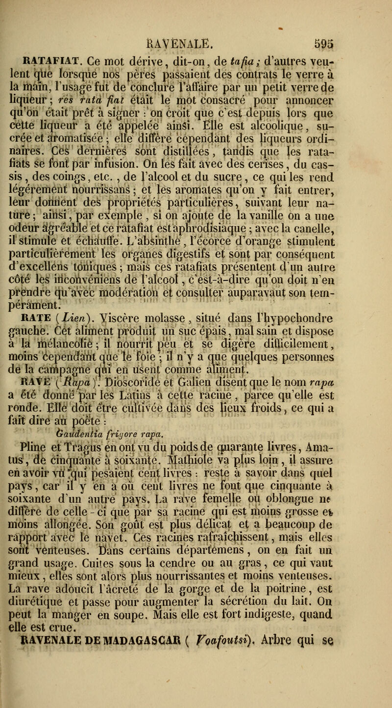 RATAFIA!:. Ce mot dérive, dit-on, de tafia; d'autres veu- lent que lorsque nos pères passaient des contrats le verre à la main, l'usage fut de conclure l'affaire par un petit verre de liqueur; res rata fiât était le mot consacré pour annoncer qu'on était prêt à signer : on croit que c'est depuis lors que cette liqueur a été appelée ainsï. Elle est alcoolique, su- crée et aromatisée ; elle diffère cependant des liqueurs ordi- naires. Ces dernières Sont distillées, tandis que les rata- fiats se font par infusion. On lés fait avec des cerises, du cas- sis , des coings, etc. , de l'alcool et du sucre, ce qui les rend légèrement noumssans ; et les aromates qu'on y fait entrer, leur donnent des propriétés particulières, suivant leur na- ture ; ainsi, par exemple , si on ajoute de la vanille on a une odeur agréable et ce ratafiat est aphrodisiaque ; avec la canelle, il stimule et échauffe. L'absinthe , l'écorce d'orange stimulent particulièrement les organes digestifs et sont par conséquent d'excellens toniques ; mais ces ratafiats présentent d'un autre côté les inconvéniens de l'alcool, c'est-à-dire qu'on doit n'en prendre qu'avec modération et consulter auparavaut son tem- pérament. rate {Lien). Viscère molasse , situé dans l'hypochondre gauche. Cet aliment produit un suc épais, malsain et dispose à la mélancolie ; il nourrit peu et se digère difficilement, moins cependant que le foie -, il n'y a que quelques personnes de la campagne qui en usent comme aliment. RAVE ( Râpa ). Dioscoridé et Galien disent que le nom râpa a été donné par les Latins à cette racine, parce qu'elle est ronde. Elle doit être cultivée dans des lieux froids, ce qui a fait dire au poète : (jraùâentia friyore râpa. Pline et Tragus en ont vu du poids de cpiarante livres, Ama- tus, de cinquante à soixante. Malhiole va plus loin , il assure en avoir vu Tquï pesaient cent livres: reste à savoir dans quel pays, car il y en a où cent livres ne font que cinquante à, soixante d'un autre pays» La rave femelle ou oblongue ne diffère de celle - ci que par sa racine qui est moins grosse et? moins allongée. Son goût est plus délicat et a beaucoup de rapport avec le navet. Ces racines rafraîchissent, mais elles sont venteuses. Dans certains départèmens, on en fait un grand usage. Cuites sous la cendre ou au gras, ce qui vaut mieux, elles sont alors plus nourrissantes et moins venteuses. La rave adoucit 1 âcreté de la gorge et de la poitrine, est diurétique et passe pour augmenter la sécrétion du lait. On peut la manger en soupe. Mais elle est fort indigeste, quand elle est crue. RAVENALE DE MADAGASCAR ( FQafoutsi). Arbre qui SÇ
