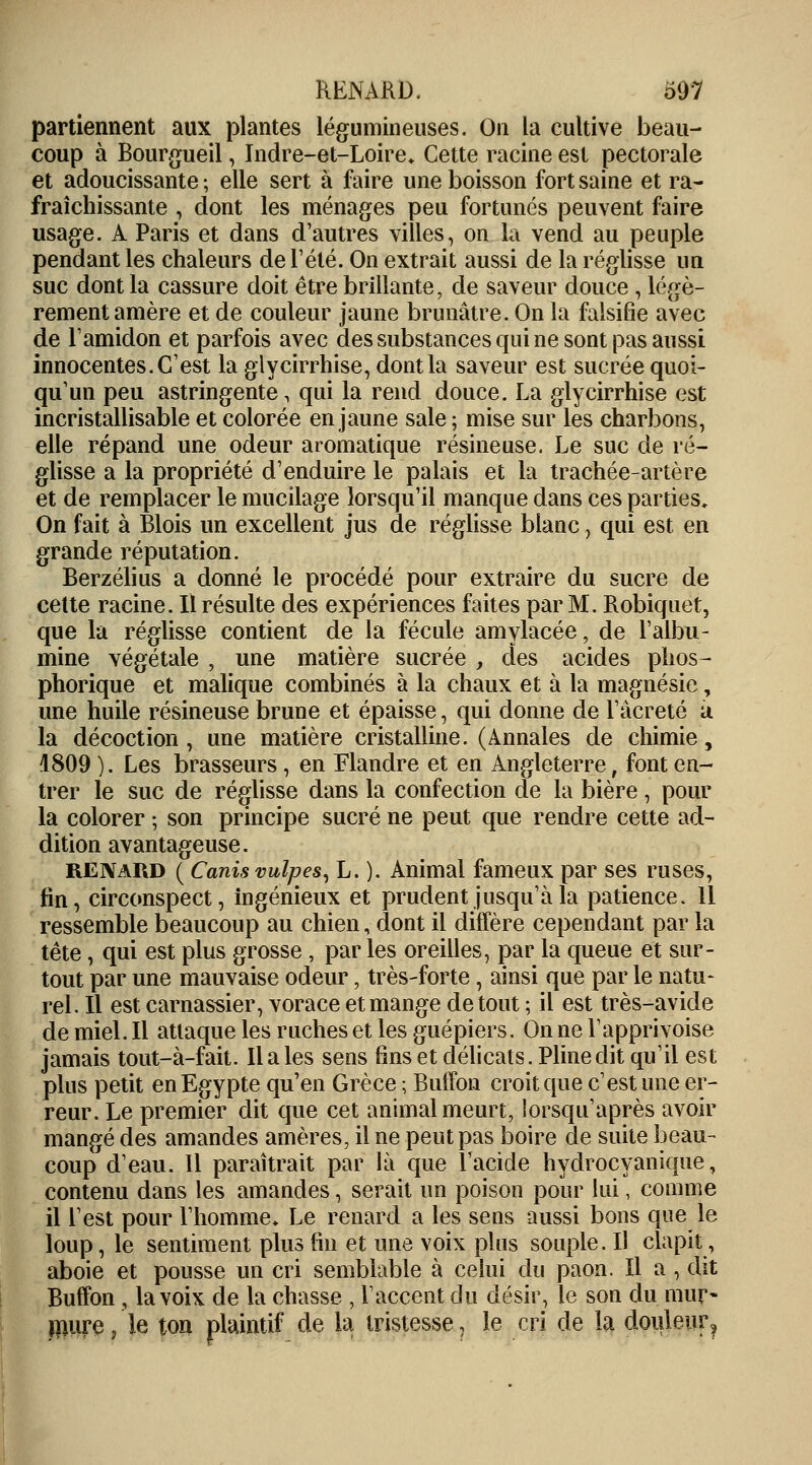 RENARD. o9'7 partiennent aux plantes légumineuses. On la cultive beau- coup à Bourgueil, Indre-et-Loire» Cette racine est pectorale et adoucissante ; elle sert à faire une boisson fort saine et ra- fraîchissante , dont les ménages peu fortunés peuvent faire usage. A Paris et dans d'autres villes, on la vend au peuple pendant les chaleurs de l'été. On extrait aussi de la réglisse un suc dont la cassure doit être brillante, de saveur douce , légè- rement amère et de couleur jaune brunâtre. On la falsifie avec de l'amidon et parfois avec des substances qui ne sont pas aussi innocentes. C'est la glycirrhise, dont la saveur est sucrée quoi- qu'un peu astringente, qui la rend douce. La glycirrhise est incristallisable et colorée en jaune sale ; mise sur les charbons, elle répand une odeur aromatique résineuse. Le suc de ré- glisse a la propriété d'enduire le palais et la trachée-artère et de remplacer le mucilage lorsqu'il manque dans ces parties. On fait à Blois un excellent jus de réglisse blanc, qui est en grande réputation. Berzélius a donné le procédé pour extraire du sucre de cette racine. Il résulte des expériences faites par M. Robiquet, que la réglisse contient de la fécule amylacée, de l'albu- mine végétale , une matière sucrée , des acides phos- phorique et malique combinés à la chaux et à la magnésie, une huile résineuse brune et épaisse, qui donne de l'àcreté à la décoction, une matière cristalline. (Annales de chimie, 4809 ). Les brasseurs , en Flandre et en Angleterre, font en- trer le suc de réglisse dans la confection de la bière, pour la colorer ; son principe sucré ne peut que rendre cette ad- dition avantageuse. renard ( Canis vulpes, L. ). Animal fameux par ses ruses, fin, circonspect, ingénieux et prudent jusqu'à la patience. 11 ressemble beaucoup au chien, dont il diffère cependant par la tête, qui est plus grosse , par les oreilles, par la queue et sur- tout par une mauvaise odeur, très-forte, ainsi que par le natu- rel. Il est carnassier, vorace et mange de tout ; il est très-avicle de miel. Il attaque les ruches et les guêpiers. On ne l'apprivoise jamais tout-à-fait. Haies sens fins et délicats. Pline dit qu'il est plus petit en Egypte qu'en Grèce ; Buffon croit que c'est une er- reur. Le premier dit que cet animal meurt, lorsqu'après avoir mangé des amandes amères, il ne peut pas boire de suite beau- coup d'eau. Il paraîtrait par là que l'acide hydrocyanique, contenu dans les amandes, serait un poison pour lui, comme il l'est pour l'homme. Le renard a les sens aussi bons que le loup, le sentiment plus fin et une voix plus souple. Il clapit, aboie et pousse un cri semblable à celui du paon. Il a, dit Buffon, la voix de la chasse , l'accent du désir, le son du mur- mure, le ton plaintif de la tristesse, le cri de la douleiir?