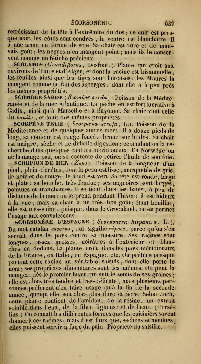 SCORSONÈRE. 63t rétrécissant de ia tête à l'extrémité du dos ; ce cuir est pres- que noir, les côtés sont cendrés , le ventre est blanchâtre. Il a une arme en forme de scie. Sa chair est dure et de mau- vais goût ; les nègres n'en mangent point ; mais ils le conser- vent comme un fétiche précieux. SCOLYMUS [Grandiflorns, Desfont. ). Plante qui croît aux environs de Tunis et d Alger, et dont la racine est bisannuelle ; les feuilles ainsi que les tiges sont laiteuses ; les Maures la mangent comme on fait des asperges , dont elle a à peu près les mêmes propriétés. SCOMBRE SARDE {Scomber s-rrrla). Poisson de la Médité- ranée et delà mer Atlantique. La pêche en est fort lucrative à Cadix, ainsi qu'à Marseille et à Bayonne. Sa chair vaut celle du bonite , et jouit des mêmes propriétés. SCORPÈ\E TRUIE ( Scorpœna scrofa, L.J. Poisson de la Méditéranée et de quelques autres mers. Il a douze pieds de long, sa couleur est rouge foncé, brune sur le dos. Sa chair est maigre, sèche et de difficile digestion ; cependant on la re- cherche dans quelques cantons méridionaux. En Norwége on ne la mange pas, on se contente de retirer l'huile de son foie. scorpion DE MER (Zeus). Poisson de la longueur d'un pied, plein d'arêtes, dont la peau est lisse, marquetée de gris, de noir et de rouge ; le fond est vert. Sa tête est ronde, large et plate; sa bouche, très-fendue; ses nageoires sont larges, pointues et tranchantes. Il se tient dans les baies, à p^u de distance de la mer; on le prend pendant l'hiver; il est hideux à la vue; mais sa chair a un très-bon goût; étant bouillie , elle est très-saine , puisque, dans le Groenland, on en permet l'usage aux convalescens. SCORSONERE D'ESPAGNE ( Scorzonera hispanica, L. ). Du mot catalan escorso , qui signifie vipère, parce qu'on s'en servait dans le pays contre sa morsure. Ses racines sont longues, assez grosses, noirâtres à l'extérieur et blan- ches en dedans. La plante croit dans les pays méridionaux de la France, en Italie, en Espagne, etc. On préfère presque partout cette racine au véritable salsifis, dont elle porte le nom ; ses propriétés alimentaires sont les mêmes. On peut la manger, dès le premier hiver qui suit le semis de ses graines ; elle est alors très tendre et très-délicate ; ma s plusieurs per- sonnes préfèrent n'en faire usage qu'à la fin de la seconde année, quoiqu'elle soit alors plus dure et acre. Selon Juch, cette plante contient de l'amidon, de la résine, un extrait soluble dans l'eau, de la fibre ligneuse et de l'eau. (Berzé- lius.) On connaît les différentes formes que les cuisiniers savent donnera ces racines ; mais il est faux que, séchées et moulues, elles puissent servir à faire du pain, Propriété du salsifix,