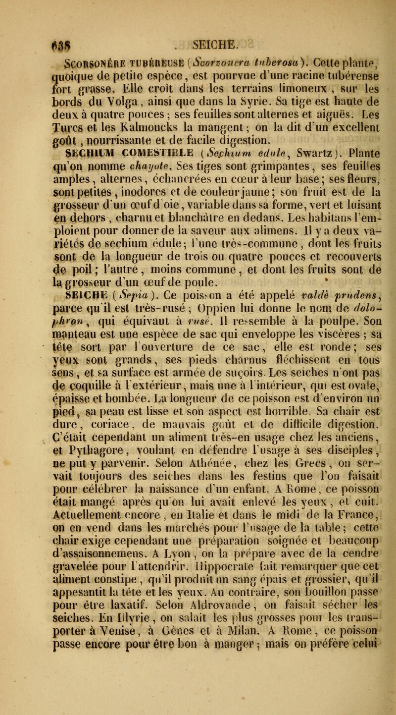 m - SEICHE. Scorsonère tubéreuse {Scorz-oiura tnhero&a). Cette plante, quoique de petile espèce, est pourvue d'une racine tubérense fort grasse. Elle croît dans les terrains limoneux , sur les bords du Volga, ainsi que dans la Syrie. Sa tige est haute de deux à quatre pouces -, ses feuilles sont alternes et aiguës. Les Turcs et les Kalmoucks la mangent ; on la dit d'un excellent goût, nourrissante et de facile digestion. SECHllM COMESTIBLE ( Sephium eclule, SwartZ). Plante qu'on nomme chayote. Ses tiges sont grimpantes, ses feuilles amples, alternes, échancrées en cœur à leur base ; ses fleurs, sont petites , inodores et de couleur jaune; son fruit est de la grosseur d'un œuf d oie, variable dans sa forme, vert et luisant en dehors , charnu et blanchâtre en dedans. Les habitans rem- ploient pour donner de la saveur aux aiimens. Il y a deux va- riétés de sechium édule; Tune trè^-commune , dont les fruits sont de la longueur de trois ou quatre pouces et recouverts de poil ; l'autre, moins commune, et dont les fruits sont de la grosseur d'un œuf de poule. SEICHE (Sepia). Ce poisson a été appelé valdè prudens, parce qu'il est très-rusé ; Oppien lui donne le nom de dolo- phron, qui équivaut à rvsé. Il ressemble à la poulpe. Son manteau est une espèce de sac qui enveloppe les viscères ; sa tête sort par l'ouverture de ce sac, elle est ronde; ses yeux sont grands, ses pieds charnus fléchissent en tous sens , et s-a surface est armée de suçoirs. Les seiches n'ont pas de coquille à l'extérieur, mais une à lintérieur, qui est ovale, épaisse et bombée. La longueur de ce poisson est d'environ un pied^ sa peau est lisse et son aspect est horrible. Sa chair est dure, coriace, de mauvais gcùt et de difficile digestion. Celait cependant un aliment très-en usage chez les anciens, et Pythagore, voulant en défendre l'usage à ses disciples, ne put y parvenir. Selon Athénée, chez les Grecs , on ser- vait toujours des seiches dans les festins que l'on faisait pour célébrer la naissance d'un enfant. A Rome, ce poisson était mangé après qu'on lui avait enlevé les yeux, et cuit. Actuellement encore , en Italie et dans le midi de la France, on en vend dans les marchés pour l'usage de la table; cette chair exige cependant une préparation soignée et beaucoup d'assaisonnemens. A Lyon, on la prépare avec de la cendre gravelée pour l'attendrir. Hippocrate lait remarquer que cet aliment constipe , qu'il produit un sang épais et grossier, qu'il appesantit la tête et les yeux. Au contraire, son bouillon passe pour être laxatif. Selon Aldrovande, on faisait sécher les seiches. En Illyrie , on salait les plus grosses pour les trans- porter à Venise, à Gènes et à Milan. A Rome, ce poisson passe encore pour être bon à manger ; mais on préfère celui