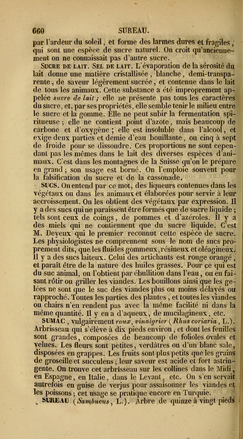 par l'ardeur du soleil, et forme des larmes dures et fragiles, qui sont une espèce de sucre naturel. On croit qu'ancienne- ment on ne connaissait pas d'autre sucre. Sucre de lait. Sel de lait. L'évaporation de la sérosité du lait donne une matière cristallisée, blanche, demi-transpa- rente , de saveur légèrement sucrée, et contenue dans le lait de tous les animaux. Cette substance a été improprement ap- pelée sucre de lait ; elle ne présente pas tous les caractères du sucre, et, par ses propriétés, elle semble tenir le milieu entre le sucre et la gomme. Elle ne peut subir la fermentation spi- ritueuse ; elle ne contient point d'azote, mais beaucoup de carbone et d'oxygène ; elle est insoluble dans l'alcool, et exige deux parties et demie d'eau bouillante, ou cinq à sept de froide pour se dissoudre. Ces proportions ne sont cepen- dant pas les mêmes dans le lait des diverses espèces d'ani- maux. C'est dans les montagnes de la Suisse qu'on le prépare en grand ; son usage est borné. On l'emploie souvent pour la falsification du sucre et de la cassonade. sucs. On entend par ce mot, des liqueurs contenues dans les végétaux ou dans les animaux et élaborées pour servir à leur accroissement. On les obtient des végétaux par expression. Il y a des sucs qui ne paraissent être formés que de sucre liquide ; tels sont ceux de coings, de pommes et d'azéroles. Il y a des miels qui ne contiennent que du sucre liquide. C'est M. Deyeux qui le premier reconnut cette espèce de sucre. Les physiologistes ne comprennent sous le nom de sucs pro- prement dits, que les fluides gommeux,résineux et oléagineux. 11 y a des sucs laiteux. Celui des artichauts est rouge orangé , et paraît être de la nature des huiles grasses. Pour ce qui est du suc animal, on l'obtient par ébullition dans l'eau, ou en fai- sant rôtir ou griller les viandes. Les bouillons ainsi que les ge- lées ne sont que le suc des viandes plus ou moins délayés ou rapproché. Toutes les parties des plantes, et toutes les viandes ou chairs n'en rendent pas avec la même facilité ni dans la même quantité. Il y en a d'aqueux, de mucilagineux, etc. SUMAC , vulgairement rouœ, vinaigrier (Rhus coriaria , L.). Arbrisseau qui s'élève à dix pieds environ, et dont les feuilles sont grandes, composées de beaucoup de folioles ovales et velues. Les fleurs sont petites, verdâtres ou d'un blanc sale, disposées en grappes. Les fruits sont plus petits que les grains de groseille et succulens ; leur saveur est acide et fort astrin- gente. On trouve cet arbrisseau sur les collines dans le Midi, en Espagne, en Italie, dans le Levant, etc. On s'en servait autrefois en guise de verjus pour assaisonner les viandes et les poissons ; cet usage se pratique encore en Turquie. H SUREAU (Sambiicîts, L.). Arbre de quinze à vingt pieds