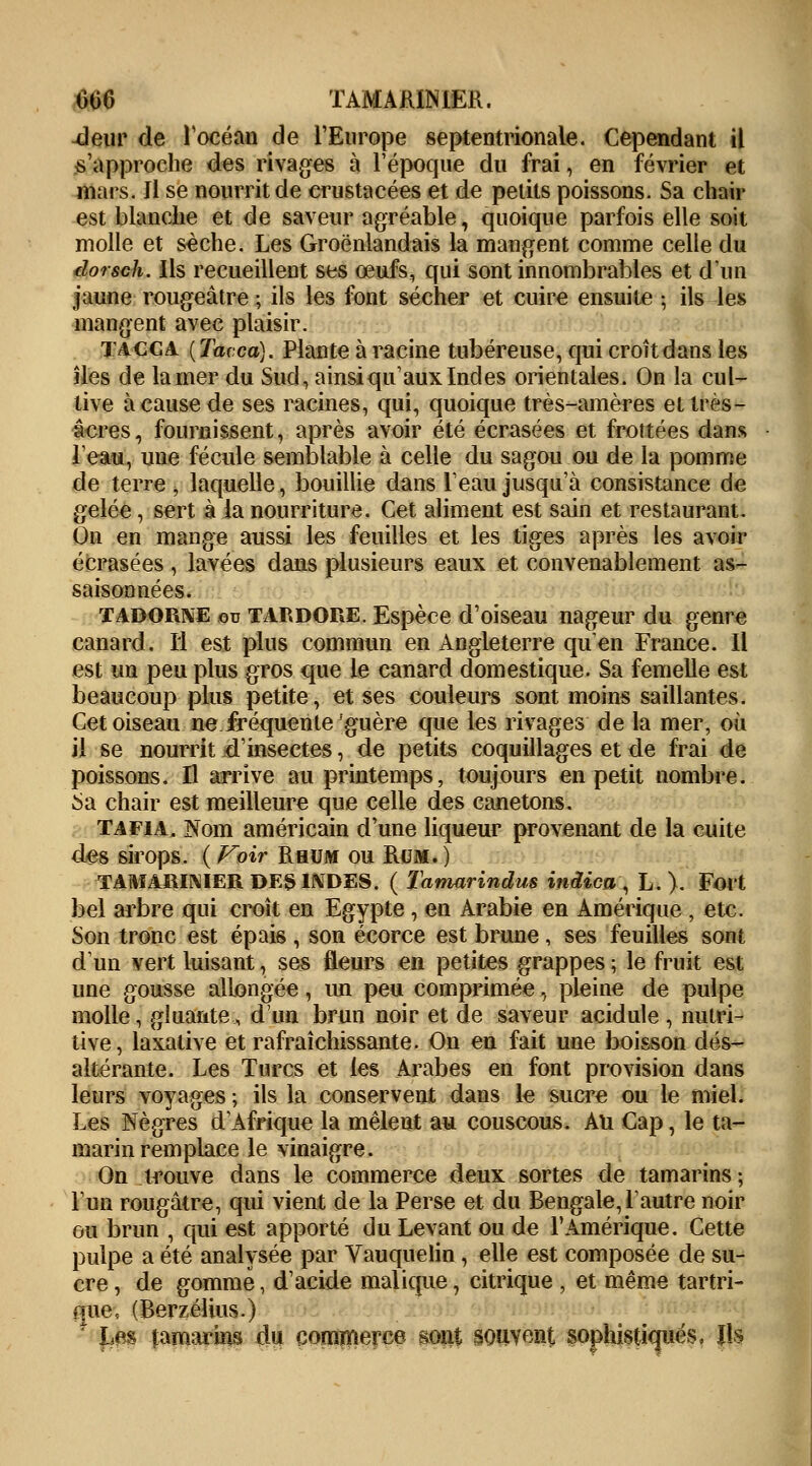 006 TAMARINIER. deur de l'océan de l'Europe septentrionale. Cependant il s'approche des rivages à l'époque du frai, en février et mars. Il se nourrit de crustacées et de petits poissons. Sa chair est blanche et de saveur agréable, quoique parfois elle soit molle et sèche. Les Groënlandais la mangent comme celle du dorsch. Ils recueillent ses œufs, qui sont innombrables et d'un jaune rougeâtre ; ils les font sécher et cuire ensuite ; ils les mangent avec plaisir. TACCA (Tavca). Plante à racine tubéreuse, qui croît dans les îles de la mer du Sud, ainsi qu aux Indes orientales. On la cul- tive à cause de ses racines, qui, quoique très-amères et très- acres, fournissent, après avoir été écrasées et frottées dans F eau, une fécule semblable à celle du sagou ou de la pomme de terre , laquelle, bouillie dans l'eau jusqu'à consistance de gelée, sert à la nourriture. Cet aliment est sain et restaurant. On en mange aussi les feuilles et les tiges après les avoir écrasées , lavées dans plusieurs eaux et convenablement as- saisonnées. tadorne ou TARDORE. Espèce d'oiseau nageur du genre canard. Il est plus commun en Angleterre qu en France. Il est un peu plus gros que le canard domestique. Sa femelle est beaucoup plus petite, et ses couleurs sont moins saillantes. Cet oiseau ne.fréquente'guère que les rivages de la mer, où il se nourrit d'insectes, de petits coquillages et de frai de poissons. Il arrive au printemps, toujours en petit nombre. Sa chair est meilleure que celle des canetons. tafia. Nom américain d'une liqueur provenant de la cuite des sirops. {Voir Rhum ou Rcm.) TAMARINIER DES INDES. ( Tamarindus indien, L. ). Fort bel arbre qui croît en Egypte , en Arabie en Amérique , etc. Son tronc est épais , son écorce est brune, ses feuilles sont d'un vert luisant, ses fleurs en petites grappes ; le fruit est une gousse allongée, un peu comprimée, pleine de pulpe molle, gluante, d'un brun noir et de saveur acidulé , nutri- tive, laxative et rafraîchissante. On en fait une boisson dés- altérante. Les Turcs et les Arabes en font provision dans leurs voyages ; ils la conservent dans le sucre ou le miel. Les Nègres d1 Afrique la mêlent au couscous. AU Cap, le ta- marin remplace le vinaigre. On trouve dans le commerce deux sortes de tamarins; l'un rougâtre, qui vient de la Perse et du Bengale, Lautre noir ou brun , qui est apporté du Levant ou de l'Amérique. Cette pulpe a été analysée par Vauquelin , elle est composée de su- cre , de gommé, d'acide malique, citrique , et même tartri- fme, (Berzélius.) • £es tamarins du commerce sont souvent sophistiqués, Ils