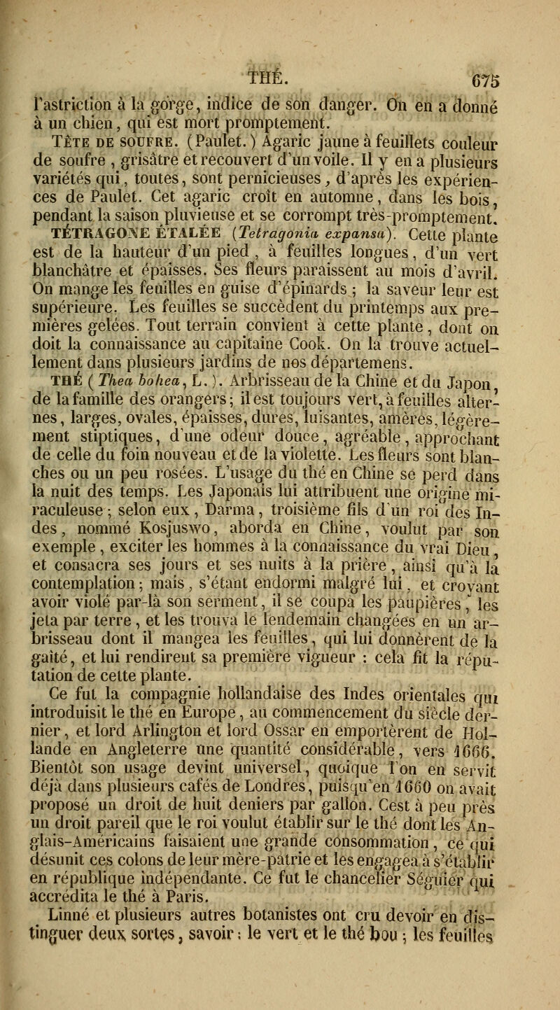 Fastriction à la gorge, indice de son danger. On en a donné à un chien, qui est mort promptement. Tête de soufre. (Paulet.) Agaric jaune à feuillets couleur de soufre , grisâtre et recouvert d'un voile. Il y en a plusieurs variétés qui, toutes, sont pernicieuses, d'après les expérien- ces de Paulet. Cet agaric croît en automne, dans les bois, pendant la saison pluvieuse et se corrompt très-promptement. TÉTRAGO^E ÉTALÉE (Tetragonia expansa). Cette plante est de la hauteur d'un pied , à feuilles longues, d'un vert blanchâtre et épaisses. Ses fleurs paraissent au mois d'avril. On mange les feuilles en guise d'épinards ; la saveur leur est supérieure. Les feuilles se succèdent du printemps aux pre- mières gelées. Tout terrain convient à cette plante, dont on doit la connaissance au capitaine Cook. On la trouve actuel- lement dans plusieurs jardins de nos départemens. THÉ ( Thea holiea, L. ). Arbrisseau de la Chine et du Japon de la famille des orangers; il est toujours vert, à feuilles alter- nes, larges, ovales, épaisses, dures, luisantes, amères, légère- ment stiptiques, d'une odeur douce, agréable , approchant de celle du foin nouveau et de la violette. Les fleurs sont blan- ches ou un peu rosées. L'usage du thé en Chine se perd dans la nuit des temps. Les Japonais lui attribuent une origine mi- raculeuse ; selon eux, Darma, troisième fils d'un roi des In- des , nommé Kosjuswo, aborda en Chine, voulut par son exemple , exciter les hommes à la connaissance du vrai Dieu et consacra ses jours et ses nuits à la prière, ainsi qu'à la contemplation ; mais , s'étant endormi malgré lui. et crovant avoir violé par-là son serment, il se coupa les paupières, les jeta par terre , et les trouva le lendemain changées en un ar- brisseau dont il mangea les feuilles, qui lui donnèrent de la gaité, et lui rendirent sa première vigueur : cela fit la répu- tation de cette plante. Ce fut la compagnie hollandaise des Indes orientales qui introduisit le thé en Europe, au commencement du siècle der- nier , et lord Arlington et lord Ossar en emportèrent de Hol- lande en Angleterre une quantité considérable, vers 1666. Bientôt son usage devint universel, quoique Ton en servit déjà dans plusieurs cafés de Londres, puisqu'on 1660 on avait proposé un droit de huit deniers par gallon. Cest à peu près un droit pareil que le roi voulut établir sur le thé dont les An- glais-Américains faisaient une grande consommation, ce qui désunit ces colons de leur mère-patrie et les engagea à s'établir en république indépendante. Ce fut le chancelier Séguier oui accrédita le thé à Paris. Linné et plusieurs autres botanistes ont cru devoir en dis- tinguer deux sortes, savoir : le vert et le thé bou ; les feuilles