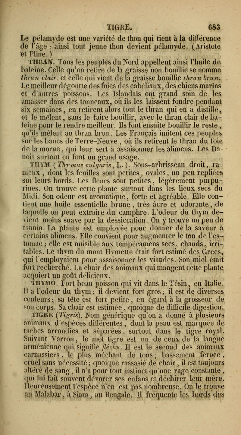 Le pélamyde est une variété de thon qui tient à la différence de 1 âge : ainsi tout jeune thon devient pélamyde. (Aristote et Pline.) THUA1V. Tous les peuples du Nord appellent ainsi l'huile de baleine. Celle qu'on retire de la graisse non bouillie se nomme thran clair, et celle qui vient de la graisse bouillie thran hrun. Le meilleur dégoutte des foies des cabéliaux, des chiens marins et d'autres poissons. Les Islandais ont grand soin de les amasser dans des tonneaux, où ils les laissent fondre pendant six semaines, en retirent alors tout le thran qui en a distillé, et le mêlent, sans le faire bouillir, avec le thran clair de ba- leine pour le rendre meilleur. Ils font ensuite bouillir le reste , qu'ils mêlent au thran brun. Les Français imitent ces peuples sur les bancs de Terre-Neuve , où ils retirent le thran du foie de la morue, qui leur sert à assaisonner les alimens. Les Da- nois surtout en font un grand usage. thym {Thymus vulgaris,L.). Sous-arbrisseau droit, ra- meux , dont les feuilles sont petites, ovales, un peu repliées sur leurs bords. Les fleurs sont petites, légèrement purpu- rines. On trouve cette plante surtout dans les lieux secs du Midi. Son odeur est aromatique, forte et agréable. Elle con- tient une huile essentielle brune , très-acre et odorante, de laquelle on peut extraire du camphre. L'odeur du thym de- vient moins suave par la dessiccation. On y trouve un peu de tannin. La plante est employée pour donner de la saveur à certains alimens. Elle convient pour augmenter le ton de l'es- tomac ; elle est nuisible aux tempéramens secs, chauds, irri- tables. Le thym du mont Hymette était fort estimé des Grecs, qui remployaient pour assaisonner les viandes. Son miel était fort recherché. La chair des animaux qui mangent cette plante acquiert un goût délicieux. THYMO. Fort beau poisson qui vit dans le Tésin, en Italie. Il a Todeur du thym ; il devient fort gros ; il est de diverses couleurs ; sa tête est fort petite , eu égard à la grosseur de son corps. Sa chair est estimée , quoique de difficile digestion. TIGRE (Tigris). Nom générique qu'on a donné à plusieurs animaux d'espèces différentes , dont la peau est marquée de taches arrondies et séparées, surtout dans le tigre royal. Suivant Varron, le mot tigre est un de ceux de la langue arménienne qui signifie flèche. Il est le second des animaux carnassiers , le plus méchant de tous ; bassement féroce , cruel sans nécessité ; quoique rassasié de chair, il est toujours altéré de sang, il n'a pour tout instinct qu'une rage constante , qui lui fait souvent dévorer ses enfans et déchirer leur mère. Heureusement l'espèce n'en est pas nombreuse. On le trouve m Malabar, à Siam, au Bengale, ïl fréquente les bords des