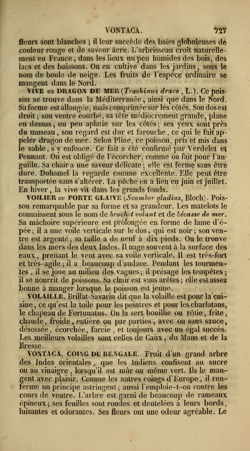 fleurs sont blanches ; il leur succède des baies globuleuses de couleur rouge et de saveur acre. L'arbrisseau croît naturelle- ment en France, dans les lieux un peu humides des bois, des lacs et des buissons. On en cultive dans les jardins, sous le nom de boule de neige. Les fruits de l'espèce ordinaire se mangent dans le Nord. VIVE ou DRAGON DE MER (Trachinus draco , L.). Ce pois- son se trouve dans la Méditerranée, ainsi que dans le Nord. Sa forme est allongée, mais comprimée sur les côtés. Son dos est droit ; son ventre courbé, sa tête médiocrement grande, plane en dessus, un peu aplatie sur les côtés ; ses yeux sont près du museau, son regard est dur et farouche, ce qui le fait ap- peler dragon de mer. Selon Pline, ce poisson, pris et mis dans le sable, s'y enfonce. Ce fait a été confirmé par Verdelet et Pennant. On est obligé de l'écorcher, comme on fait pour l'an- guille. Sa chair a une saveur délicate ; elle est ferme sans être dure. Duhamel la regarde comme excellente. Elle peut être transportée sans s'altérer. La pêche en a lieu en juin et juillet. En hiver, la vive vit dans les grands fonds. VOILIER ou PORTE GLAIVE (Scomber gladius, Bloch). Pois- son remarquable par sa forme et sa grandeur. Les matelots le connaissent sous le nom de brochet volant et de bécasse de mer. Sa mâchoire supérieure est prolongée en forme de lame d'é- pée ; il a une voile verticale sur le dos, qui est noir ; son ven- tre est argenté ; sa taille a de neuf à dix pieds. On le trouve dans les mers des deux Indes. Il nage souvent à la surface des eaux, prenant le vent avec sa voile verticale. Il est très-fort et très-agile ; il a beaucoup d'audace. Pendant les tourmen- tes , il se joue au milieu des vagues ; il présage les tempêtes ; il se nourrit de poissons. Sa chair est sans arêtes ; elle est assez bonne à manger lorsque le poisson est jeune. volaille. Brillât-Savarin dit que la volaille est pour lacui- sine, ce qu'est la toile pour les peintres et pour les charlatans, le chapeau de Fortunatus. On la sert bouillie ou rôtie, frite, chaude, froide, entière ou par parties, avec ou sans sauce, désossée, écorchée, farcie , et toujours avec un égal succès. Les meilleurs volailles sont celles de Caux, du Mans et de la Bresse. vontaca. coing du BENGALE. Eruit d'un grand arbre des Indes orientales, que les Indiens confisent au sucre ou au vinaigre , lorsqu'il est mûr ou même vert. Ils le man- gent avec plaisir. Comme les autres coings d'Europe , il ren- ferme un principe astringent ; aussi l'emploie-t-on contre les cours de ventre. L'arbre est garni de beaucoup de rameaux épineux ; ses feuilles sont rondes et dentelées à leurs bords, luisantes et odorantes. Ses fleurs ont une odeur agréable. Le