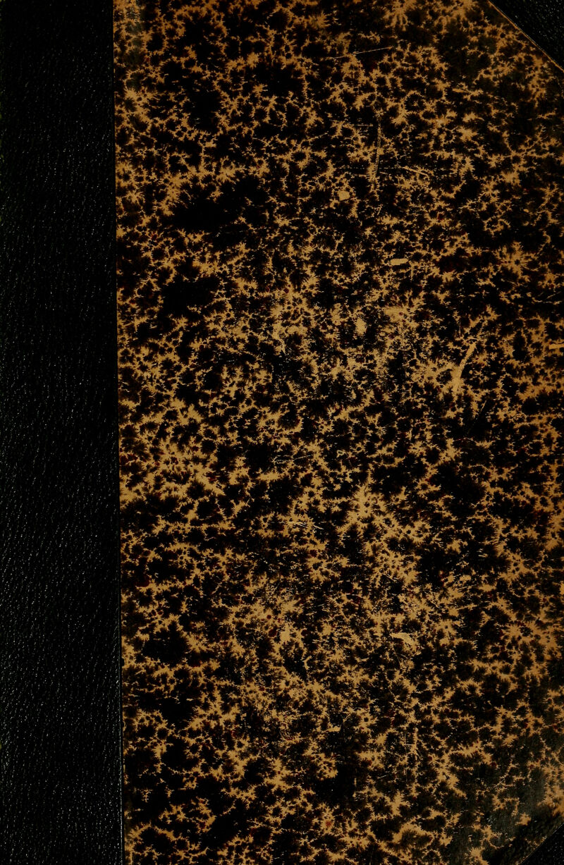 y^^^'-'' m.- iia* ■,'^..., ^::^:^^i ^--•f^^l^ ife 1 1^^ .3fi-^ ïfe* ■f^ '■-3:-^M n^\^* ^ mi ^^: '*^i'-'«L*af ■ l'^tW