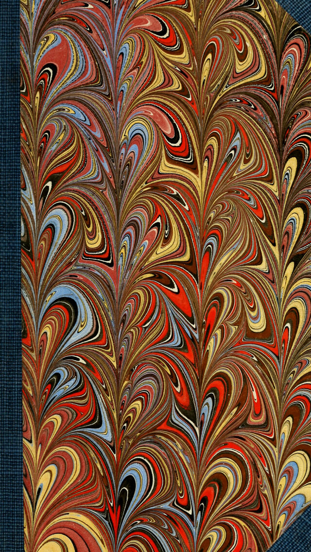 No text description is available for this image