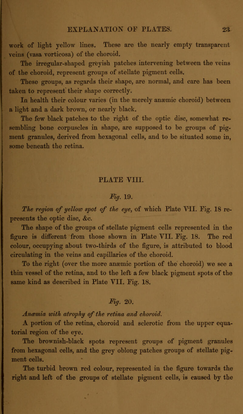work of light yellow lines. These are the nearly empty transparent veins (vasa vorticosa) of the choroid. The irregular-shaped greyish patches intervening between the veins of the choroid, represent groups of stellate pigment cells. These groups, as regards their shape, are normal, and care has been taken to represent their shape correctly. In health their colour varies (in the merely anaemic choroid) between a light and a dark brown, or nearly black. The few black patches to the right of the optic disc, somewhat re- sembling bone corpuscles in shape, are supposed to be groups of pig- ment granules, derived from hexagonal cells, and to be situated some in, some beneath the retina. PLATE VIII. Fig. 19. The region of yellow spot of the eye, of which Plate VTI. Eig. 18 re- presents the optic disc, &c. The shape of the groups of stellate pigment cells represented in the figure is different from those shown in Plate VII. Eig. 18. The red colour, occupying about two-thirds of the figure, is attributed to blood circulating in the veins and capillaries of the choroid. To the right (over the more anaemic portion of the choroid) we see a thin vessel of the retina, and to the left a few black pigment spots of the same kind as described in Plate VII. Eig. 18. Fig. 20. Ancemia with atrophy of the retina and choroid. A portion of the retina, choroid and sclerotic from the upper equa- torial region of the eye. The brownish-black spots represent groups of pigment granules from hexagonal cells, and the grey oblong patches groups of stellate pig- ment cells. The turbid brown red colour, represented in the figure towards the right and left of the groups of stellate pigment cells, is caused by the