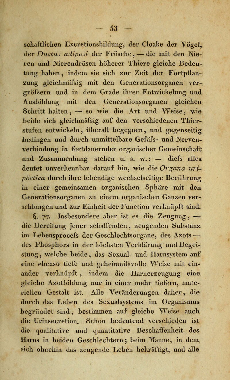schaftlichen Excretionsbildung, der Cloake der Vogel, der Ductus adiposi der Frösche, — die mit den Nie- ren und Nierendrüsen höherer Thiere gleiche Bedeu- tung haben, indem sie sich zur Zeit der Fortpflan- zung gleichmäfsig mit den Generationsorganen ver- grüfsern und in dem Grade ihrer Entwickelung und Ausbildung mit den Generationsorganen gleichen Schritt halten, —■ so wie die Art und Weise, wie beide sich gleichmäfsig auf den verschiedenen Thier- stufen entwickeln, überall begegnen, und gegenseitig bedingen und durch unmittelbare Gefäfs- und Nerven- verbindung in fortdauernder organischer Gemeinschaft und Zusammenhang stehen u. s. w.: — diefs alles deutet unverkennbar darauf hin, wie die Organa uri- pöetica durch ihre lebendige wechselseitige Berührung in einer gemeinsamen organischen Sphäre mit den Generationsorganen zu einem organischen Ganzen ver- schlungen und zur Einheit der Function verknüpft sind«. §. 77. Insbesondere aber ist es die Zeugung, — die Bereitung jener schaffenden, zeugenden Substanz im Lebensprocefs der Geschlechtsorgane, des Azots — des Phosphors in der höchsten Verklärung nnd Begei- stung, welche beide, das Sexual- und Harnsystem auf eine ebenso tiefe und geheimnifsvolle Weise mit ein- ander verknüpft , indem die Harnerzeugung eine gleiche Azotbildung nur in einer mehr tiefern, mate- riellen Gestalt ist. Alle Veränderungen daher, die durch das Leben des Sexualsystems im Organismus begründet sind, bestimmen auf gleiche Weise auch die Ürinsecretion. Schon bedeutend verschieden ist die qualitative und quantitative Beschaffenheit des Harns in beiden Geschlechtern; beim Manne, in dem sich ohnehin das zeugende Leben bekräftigt, und alle