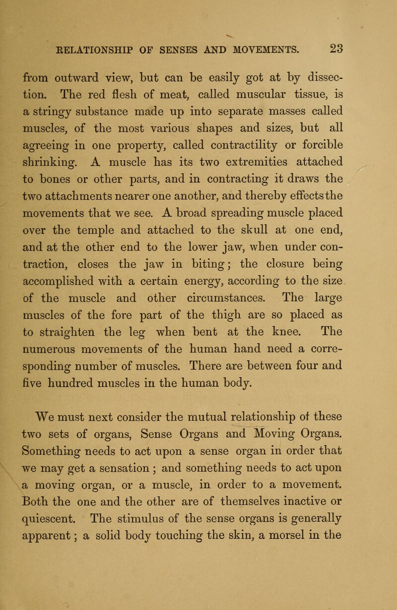 from outward view, but can be easily got at by dissec- tion. The red flesh of meat, called muscular tissue, is a stringy substance made up into separate masses called muscles, of the most various shapes and sizes, but all agreeing in one property, called contractility or forcible shrinking. A muscle has its two extremities attached to bones or other parts, and in contracting it draws the two attachments nearer one another, and thereby effects the movements that we see. A broad spreading muscle placed over the temple and attached to the skull at one end, and at the other end to the lower jaw, when under con- traction, closes the jaw in biting; the closure being accomplished with a certain energy, according to the size of the muscle and other circumstances. The large muscles of the fore part of the thigh are so placed as to straighten the leg when bent at the knee. The numerous movements of the human hand need a corre- sponding number of muscles. There are between four and five hundred muscles in the human body. We must next consider the mutual relationship of these two sets of organs, Sense Organs and Moving Organs. Something needs to act upon a sense organ in order that we may get a sensation ; and something needs to act upon a moving organ, or a muscle, in order to a movement. Both the one and the other are of themselves inactive or quiescent. The stimulus of the sense organs is generally apparent; a solid body touching the skin, a morsel in the