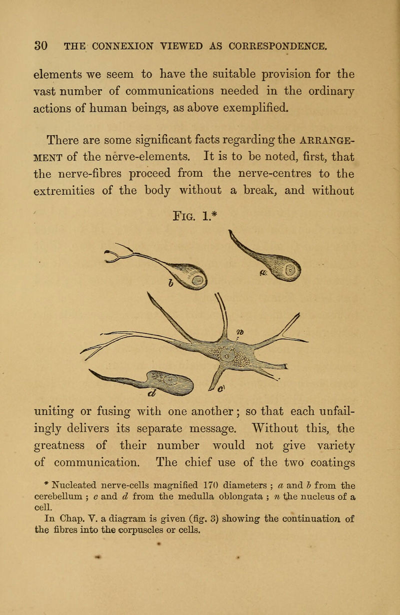 elements we seem to have the suitable provision for the vast number of communications needed in the ordinary actions of human beings, as above exemplified. There are some significant facts regarding the arrange- ment of the nerve-elements. It is to be noted, first, that the nerve-fibres proceed from the nerve-centres to the extremities of the body without a break, and without Fig. 1 * uniting or fusing with one another; so that each unfail- ingly delivers its separate message. Without this, the greatness of their number would not give variety of communication. The chief use of the two coatings * Nucleated nerve-cells magnified 170 diameters ; a and b from the cerebellum ; c and d from the medulla oblongata ; n the nucleus of a cell. In Chap. V. a diagram is given (fig. 3) showing the continuation of the fibres into the corpuscles or cells.