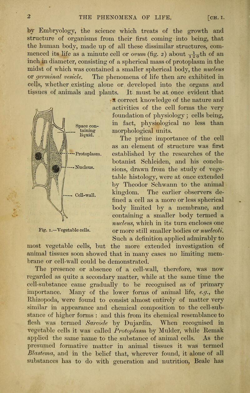 by Embryology, the science which treats of the growth and structure of organisms from their first coming-into being, that the human body, made up of all these dissimilar structures, com- menced its life as a minute cell or ovum (fig. 2) about T^-Q-th of an inch in diameter, consisting of a spherical mass of protoplasm in the midst of which was contained a smaller spherical body, the nucleus or germinal vesicle. The phenomena of life then are exhibited in cells, whether existing alone or developed into the organs and tissues of animals and plants. It must be at once evident that - a correct knowledge of the nature and activities of the cell forms the very foundation of physiology; cells being, in fact, physiological no less than morphological units. The prime importance of the cell as an element of structure was first established by the researches of the Space con- . taining liquid. Protoplasm. — Nucleus. Cell-Trail. Fig. 1.—Vegetable cells. botanist Schleiden, and his conclu- sions, drawn from the study of vege- table histology, were at once extended by Theodor Schwann to the animal kingdom. The earlier observers de- fined a cell as a more or less spherical body limited by a membrane, and containing a smaller body termed a nucleus, which in its turn encloses one or more still smaller bodies or nucleoli. Such a definition applied admirably to most vegetable cells, but the more extended investigation of animal tissues soon showed that in many cases no limiting mem- brane or cell-wall could be demonstrated. The presence or absence of a cell-wall, therefore, was now regarded as quite a secondary matter, while at the same time the cell-substance came gradually to be recognised as of primary importance. Many of the lower forms of animal life, e.g., the Rhizopoda, were found to consist almost entirely of matter very similar in appearance and chemical composition to the cell-sub- stance of higher forms : and this from its chemical resemblance to flesh was termed Sarcode by Dujardin. When recognised in vegetable cells it was called Protoplasm by Mulder, while Remak applied the same name to the substance of animal cells. As the presumed formative matter in animal tissues it was termed Blastema, and in the belief that, wherever found, it alone of all substances has to do with generation and nutrition, Beale has