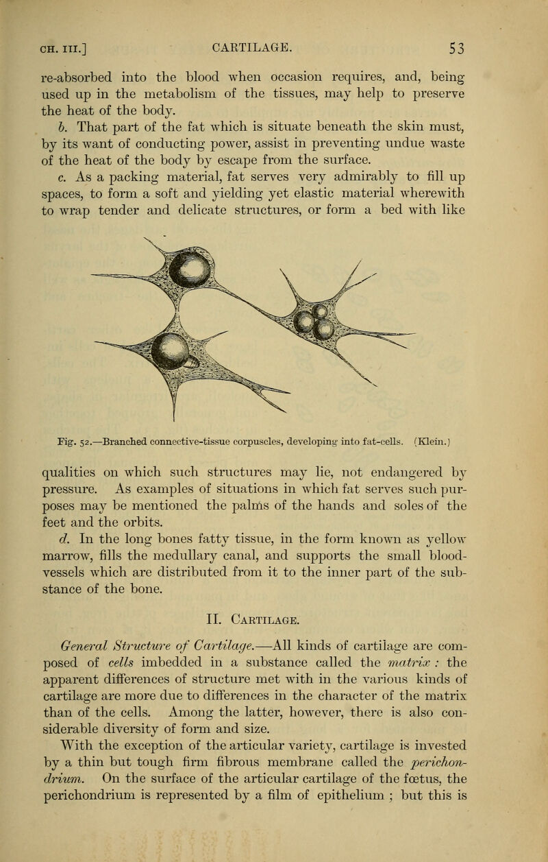re-absorbed into the blood when occasion requires, and, being used up in the metabolism of the tissues, may help to preserve the heat of the body. b. That part of the fat which is situate beneath the skin must, by its want of conducting power, assist in preventing undue waste of the heat of the body by escape from the surface. c. As a packing material, fat serves very admirably to fill up spaces, to form a soft and yielding yet elastic material wherewith to wrap tender and delicate structures, or form a bed with like Fig. 52.—Branched connective-tissue corpuscles, developing- into fat-cells. (Klein.) qualities on which such structures may lie, not endangered by pressure. As examples of situations in which fat serves such pur- poses may be mentioned the palms of the hands and soles of the feet and the orbits. d. In the long bones fatty tissue, in the form known as yellow marrow, fills the medullary canal, and supports the small blood- vessels which are distributed from it to the inner part of the sub- stance of the bone. II. Caetilage. General Structure of Cartilage.—All kinds of cartilage are com- posed of cells imbedded in a substance called the matrix : the apparent differences of structure met with in the various kinds of cartilage are more due to differences in the character of the matrix than of the cells. Among the latter, however, there is also con- siderable diversity of form and size. With the exception of the articular variety, cartilage is invested by a thin but tough firm fibrous membrane called the perichon- drium. On the surface of the articular cartilage of the foetus, the perichondrium is represented by a film of epithelium ; but this is