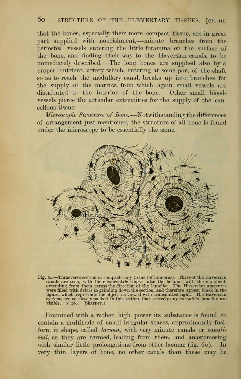 that the bones, especially their more compact tissue, are in great part supplied with nourishment,—minute branches from the periosteal vessels entering the little foramina on the surface of the bone, and finding their way to the Haversian canals, to be immediately described. The long bones are supplied also by a proper nutrient artery which, entering at some part of the shaft so as to reach the medullary canal, breaks up into branches for the supply of the marrow, from which again small vessels are distributed to the interior of the bone. Other small blood- vessels pierce the articular extremities for the supply of the can- cellous tissue. Microscopic Structure of Bone.—Notwithstanding the differences of arrangement just mentioned, the structure of all bone is found under the microscope to be essentially the same. Fig. 60.—Transverse section of compact bony tissue (of humerus). Three of the Haversian canals are seen, with their concentric rings ; also the lacunae, with the canaliculi extending from them across the direction of the lamellae. The Haversian apertures were filled with debris in grinding down the section, and therefore appear black in the figure, which represents the object as viewed with transmitted light. The Haversian systems are so closely packed in this section, that scarcely any interstitial lamellae are visible, x 150. (Sharpey.) Examined with a rather high power its substance is found to contain a multitude of small irregular spaces, approximately fusi- form in shape, called lacunae, with very minute canals or canali- culi, as they are termed, leading from them, and anastomosing with similar little prolongations from other lacunae (fig. 60). In very thin layers of bone, no other canals than these may be