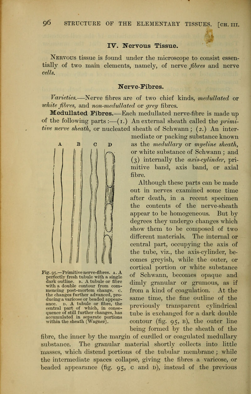 IV. Nervous Tissue. Nervous tissue is found under the microscope to consist essen- tially of two main elements, namely, of nerve fibres and nerve cells. Nerve-Fibres. Varieties.—Nerve fibres are of two chief kinds, medullated or white fibres, and non-medullated or grey fibres. Medullated Fibres.—Each medullated nerve-fibre is made up of the following parts :—(i.) An external sheath called the primi- tive nerve sheath, or nucleated sheath of Schwann; (2.) An inter- mediate or packing substance known as the medullary or myeline sheath, or white substance of Schwann; and (3) internally the axis-cylinder, pri- mitive band, axis band, or axial fibre. Although these parts can be made out in nerves examined some time after death, in a recent specimen the contents of the nerve-sheath appear to be homogeneous. But by degrees they undergo changes which show them to be composed of two different materials. The internal or central part, occupying the axis of the tube, viz., the axis-cylinder, be- comes greyish, while the outer, or cortical portion or white substance of Schwann, becomes opaque and dimly granular or grumous, as if from a kind of coagulation. At the same time, the fine outline of the previously transparent cylindrical tube is exchanged for a dark double contour (fig. 95, b), the outer line being formed by the sheath of the fibre, the inner by the margin of curdled or coagulated medullary substance. The granular material shortly collects into little masses, which distend portions of the tubular membrane ; while the intermediate spaces collapse, giving the fibres a varicose, or beaded appearance (fig. 95, c and d), instead of the previous II Fig. 95.—Primitive nerve-fibres, a. A perfectly fresh tubule with a single dark outline, b. A tubule or fibre ■with a double contour from com- mencing post-mortem change, c. the changes further advanced, pro- ducing a varicose or beaded appear- ance, d. A tubule or fibre, the central part of which, in conse- quence of still further changes, has accumulated in separate portions within the sheath (Wagner).