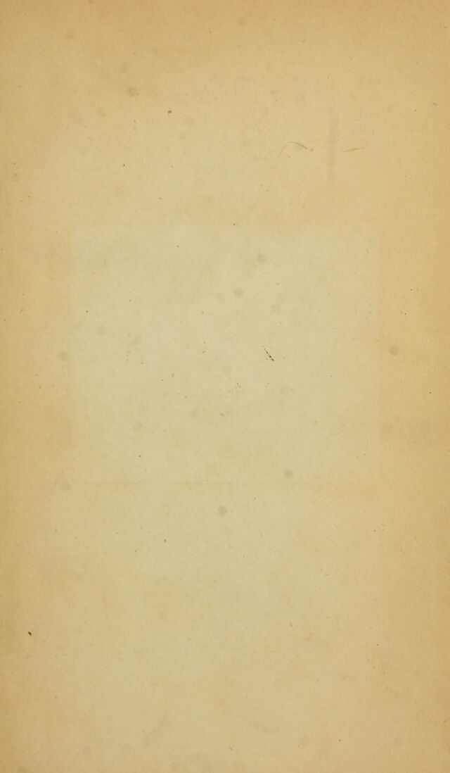 digitised image 3