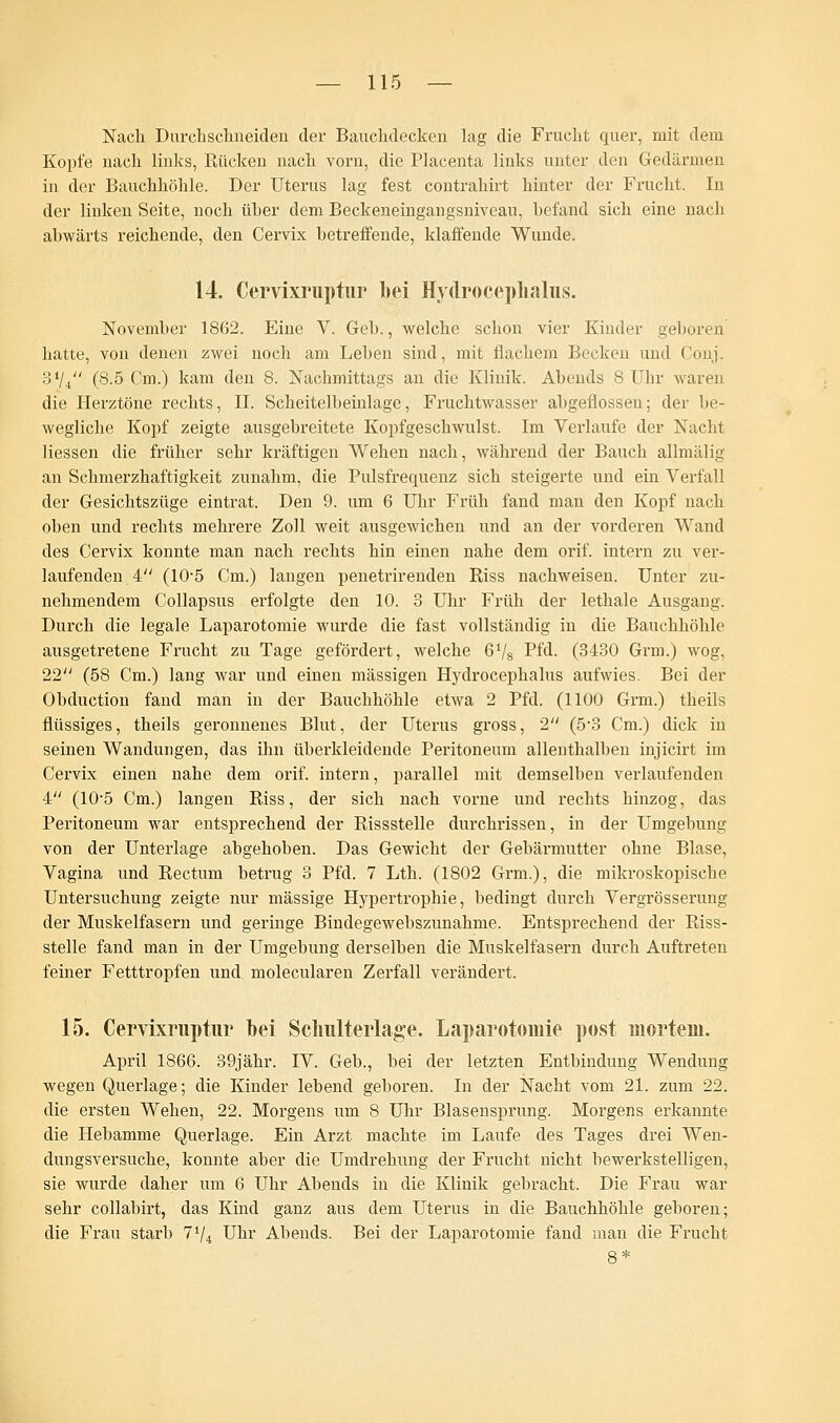 Nach Durchschneiden der Bauchdecken lag die Frucht quer, mit dem Kopfe nach links, Kücken nach vorn, die Placenta links unter den Gedärmen in der Bauchhöhle. Der Uterus lag fest contrahirt hinter der Frucht. In der linken Seite, noch über dem Beckeneingangsniveau, befand sich eine nach abwärts reichende, den Cervix betreffende, klaffende Wunde. 14. Cervixriiptur bei Hvdroceplialus. November 1862. Eine V. Geb., welche schon vier Kinder geboren hatte, von denen zwei noch am Leben sind, mit flachem Becken und Conj. 31/4 (8.5 Cm.) kam den 8. Nachmittags an die Klinik. Abends 8 Uhr waren die Herztöne rechts, IL Scheitelbeinlage, Fruchtwasser abgeflossen; der be- wegliche Kopf zeigte ausgebreitete Kopfgeschwulst. Im Verlaufe der Nacht Hessen die früher sehr kräftigen Wehen nach, während der Bauch allmälig an Schmerzhaftigkeit zunahm, die Pulsfrequenz sich steigerte und ein Verfall der Gesichtszüge eintrat. Den 9. um 6 Uhr Früh fand man den Kopf nach oben und rechts mehrere Zoll weit ausgewichen und an der vorderen Wand des Cervix konnte man nach rechts hin einen nahe dem orif. intern zu ver- laufenden 4 (105 Cm.) langen penetrirenden Riss nachweisen. Unter zu- nehmendem Collapsus erfolgte den 10. 3 Uhr Früh der lethale Ausgang. Durch die legale Laparotomie wurde die fast vollständig in die Bauchhöhle ausgetretene Frucht zu Tage gefördert, welche 6V8 Pfd. (3430 Grm.) wog, 22 (58 Cm.) lang war und einen massigen Hydrocephalus aufwies. Bei der Obduction fand man in der Bauchhöhle etwa 2 Pfd. (1100 Grm.) theils flüssiges, theils geronnenes Blut, der Uterus gross, 2 (5-3 Cm.) dick in seinen Wandungen, das ihn überkleidende Peritoneum allenthalben injicirt im Cervix einen nahe dem orif. intern, parallel mit demselben verlaufenden 4 (10-5 Cm.) langen Riss, der sich nach vorne und rechts hinzog, das Peritoneum war entsprechend der Rissstelle durchrissen, in der Umgebung von der Unterlage abgehoben. Das Gewicht der Gebärmutter ohne Blase, Vagina und Rectum betrug 3 Pfd. 7 Lth. (1802 Grm.), die mikroskopische Untersuchung zeigte nur massige Hypertrophie, bedingt durch Vergrösserung der Muskelfasern und geringe Bindegewebszunahme. Entsprechend der Riss- stelle fand man in der Umgebung derselben die Muskelfasern durch Auftreten feiner Fetttropfen und molecularen Zerfall verändert. 15. Cervixriiptur bei Scliulterlage. Laparotomie post mortem. April 1866. 39jähr. IV. Geb., bei der letzten Entbindung Wendung wegen Querlage; die Kinder lebend geboren. In der Nacht vom 21. zum 22. die ersten Wehen, 22. Morgens um 8 Uhr Blasensprung. Morgens erkannte die Hebamme Querlage. Ein Arzt machte im Laufe des Tages drei Wen- dungsversuche, konnte aber die Umdrehung der Frucht nicht bewerkstelligen, sie wurde daher um 6 Uhr Abends in die Klinik gebracht. Die Frau war sehr collabirt, das Kind ganz aus dem Uterus in die Bauchhöhle geboren; die Frau starb 7V4 Uhr Abends. Bei der Laparotomie fand man die Frucht
