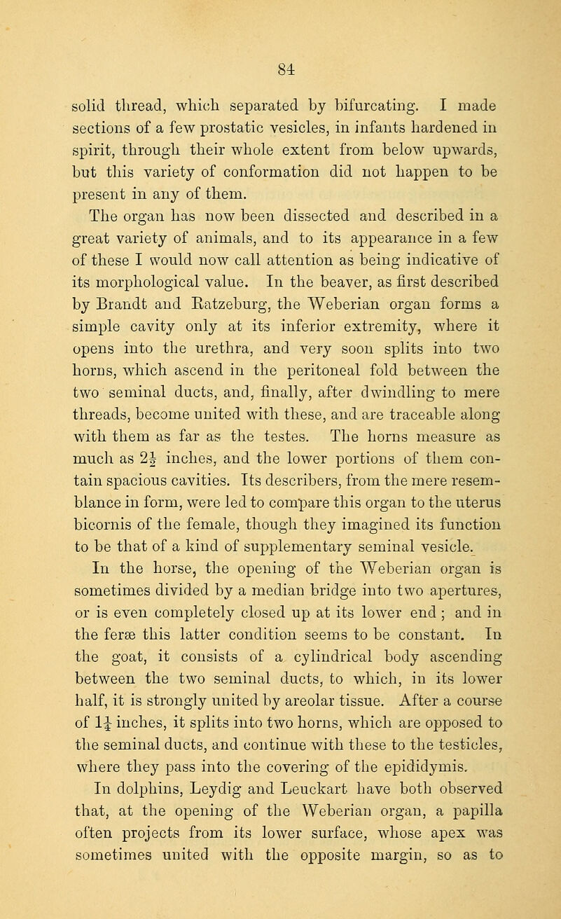 solid thread, which separated by bifurcating. I made sections of a few prostatic vesicles, in infants hardened in spirit, through their whole extent from below upwards, but this variety of conformation did not happen to be present in any of them. The organ has now been dissected and described in a great variety of animals, and to its appearance in a few of these I would now call attention as being indicative of its morphological value. In the beaver, as first described by Brandt and Eatzeburg, the Weberian organ forms a simple cavity only at its inferior extremity, where it opens into the urethra, and very soon splits into two horDS, which ascend in the peritoneal fold between the two seminal ducts, and, finally, after dwindling to mere threads, become united with these, and are traceable along with them as far as the testes. The horns measure as much as 2J inches, and the lower portions of them con- tain spacious cavities. Its describers, from the mere resem- blance in form, were led to compare this organ to the uterus bicornis of the female, though they imagined its function to be that of a kind of supplementary seminal vesicle. In the horse, the opening of the Weberian organ is sometimes divided by a median bridge into two apertures, or is even completely closed up at its lower end ; and in the ferae this latter condition seems to be constant. In the goat, it consists of a cylindrical body ascending between the two seminal ducts, to which, in its lower half, it is strongly united by areolar tissue. After a course of 1J inches, it splits into two horns, which are opposed to the seminal ducts, and continue with these to the testicles, where they pass into the covering of the epididymis. In dolphins, Leydig and Leuckart have both observed that, at the opening of the Weberian organ, a papilla often projects from its lower surface, whose apex was sometimes united with the opposite margin, so as to