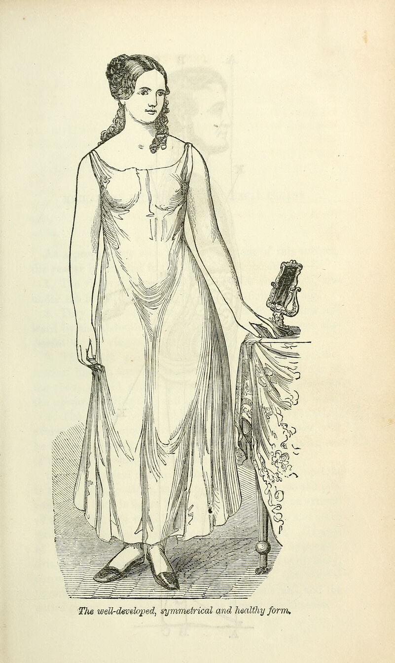 The well-d&.mlo^ed, symmetrical and healthy form.