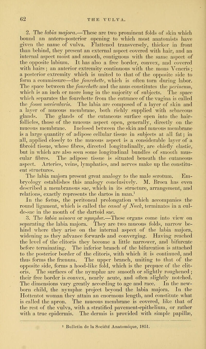 2. The labia majora.—These are two prominent folds of skin which bound an antero-posterior opening to which most anatomists have given the name of vulva. Flattened transversely, thicker in front than behind, they present an external aspect covered with hair, and an internal aspect moist and smooth, contiguous with the same aspect of the opposite labium. It has also a free border, convex, and covered with hairs; an anterior extremity continuous with the mons Veneris ; a posterior extremity which is united to that of the opposite side to form a commissure—the fourehette, which is often torn during labor. The space between the fourehette and the anus constitutes the perineum, which is an inch or more long in the majority of subjects. The space which separates the fourehette from the entrance of the vagina is called the fossa navicularis. The labia are composed of a layer of skin and a layer of mucous membrane, both richly supplied with sebaceous glands. The glands of the cutaneous surface open into the hair- follicles, those of the mucous aspect open, generally, directly on the mucous membrane. Inclosed between the skin and mucous membrane is a large quantity of adipose cellular tissue in subjects at all fat; in all, applied closely to the mucous aspect is a considerable layer of a fibroid tissue, whose fibres, directed longitudinally, are chiefly elastic, but in which are also seen some longitudinal bundles of smooth mus- cular fibres. The adipose tissue is situated beneath the cutaneous aspect. Arteries, veins, lymphatics, and nerves make up the constitu- ent structures. The labia majora present great analogy to the male scrotum. Em- bryology establishes this analogy conclusively. M. Broca has even described a membranous sac, which in its structure, arrangement, and relations, exactly represents the dartos in man.1 In the fcetus, the peritoneal prolongation which accompanies the round ligament, which is called the canal of Nuck, terminates in a cul- de-sac in the mouth of the dartoid sac. 3. The labia minora or nymphos.—These organs come into view on separating the labia majora. They are two mucous folds, narrow be- hind where they arise on the internal aspect of the labia majora, widening as they advance forwards and converging. Having reached the level of the clitoris they become a little narrower, and bifurcate before terminating. The inferior branch of the bifurcation is attached to the posterior border of the clitoris, with which it is continued, and thus forms the frsenum. The upper branch, uniting to that of the opposite side, forms a hood-like fold, which is the prepuce of the clit- oris. The surfaces of the nymphae are smooth or slightly roughened; their free border is convex, nearly acute, and often slightly notched. The dimensions vary greatly according to age and race. In the new- born child, the nymphse project beyond the labia majora. In the Hottentot woman they attain an enormous length, and constitute what is called the apron. The mucous membrane is covered, like that of the rest of the vulva, with a stratified pavement-epithelium, or rather with a true epidermis. The dermis is provided with simple papillae, 1 Bulletin de la Socidte' Anatomique, 1851.