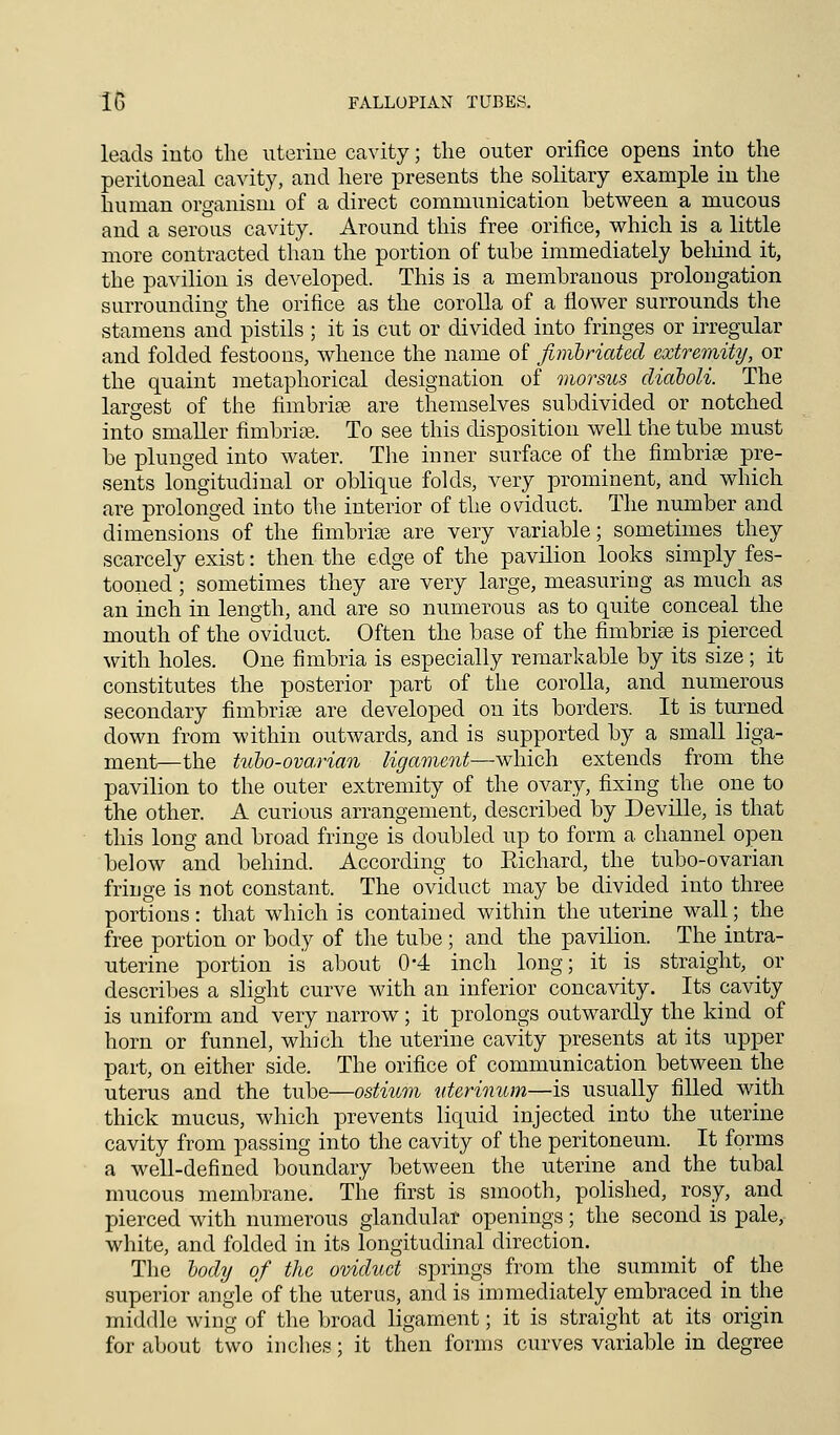 leads into the uterine cavity; the outer orifice opens into the peritoneal cavity, and here presents the solitary example in the human organism of a direct communication between a mucous and a serous cavity. Around this free orifice, which is a little more contracted than the portion of tube immediately behind it, the pavilion is developed. This is a membranous prolongation surrounding the orifice as the corolla of a flower surrounds the stamens and pistils ; it is cut or divided into fringes or irregular and folded festoons, whence the name of fimbriated extremity, or the quaint metaphorical designation of morsus diaboli. The largest of the fimbriae are themselves subdivided or notched into smaller fimbriae, To see this disposition well the tube must be plunged into water. The inner surface of the fimbriae pre- sents longitudinal or oblique folds, very prominent, and which are prolonged into the interior of the oviduct. The number and dimensions of the fimbriae are very variable; sometimes they scarcely exist: then the edge of the pavilion looks simply fes- tooned ; sometimes they are very large, measuring as much as an inch in length, and are so numerous as to quite conceal the mouth of the oviduct. Often the base of the fimbriae is pierced with holes. One fimbria is especially remarkable by its size ; it constitutes the posterior part of the corolla, and numerous secondary fimbriae are developed on its borders. It is turned down from within outwards, and is supported by a small liga- ment—the tubo-ovarian ligament—which extends from the pavilion to the outer extremity of the ovary, fixing the one to the other. A curious arrangement, described by Deville, is that this long and broad fringe is doubled up to form a channel open below and behind. According to Eichard, the tubo-ovarian fringe is not constant. The oviduct may be divided into three portions: that which is contained within the uterine wall; the free portion or body of the tube ; and the pavilion. The intra- uterine portion is about 0*4 inch long; it is straight, Or describes a slight curve with an inferior concavity. Its cavity is uniform and very narrow; it prolongs outwardly the kind of horn or funnel, which the uterine cavity presents at its upper part, on either side. The orifice of communication between the uterus and the tube—ostium uterinum—is usually filled with thick mucus, which prevents liquid injected into the uterine cavity from passing into the cavity of the peritoneum. It forms a well-defined boundary between the uterine and the tubal mucous membrane. The first is smooth, polished, rosy, and pierced with numerous glandular openings; the second is pale, white, and folded in its longitudinal direction. The body of the oviduct springs from the summit of the superior angle'of the uterus, and is immediately embraced in the middle wing of the broad ligament; it is straight at its origin for about two inches; it then forms curves variable in degree