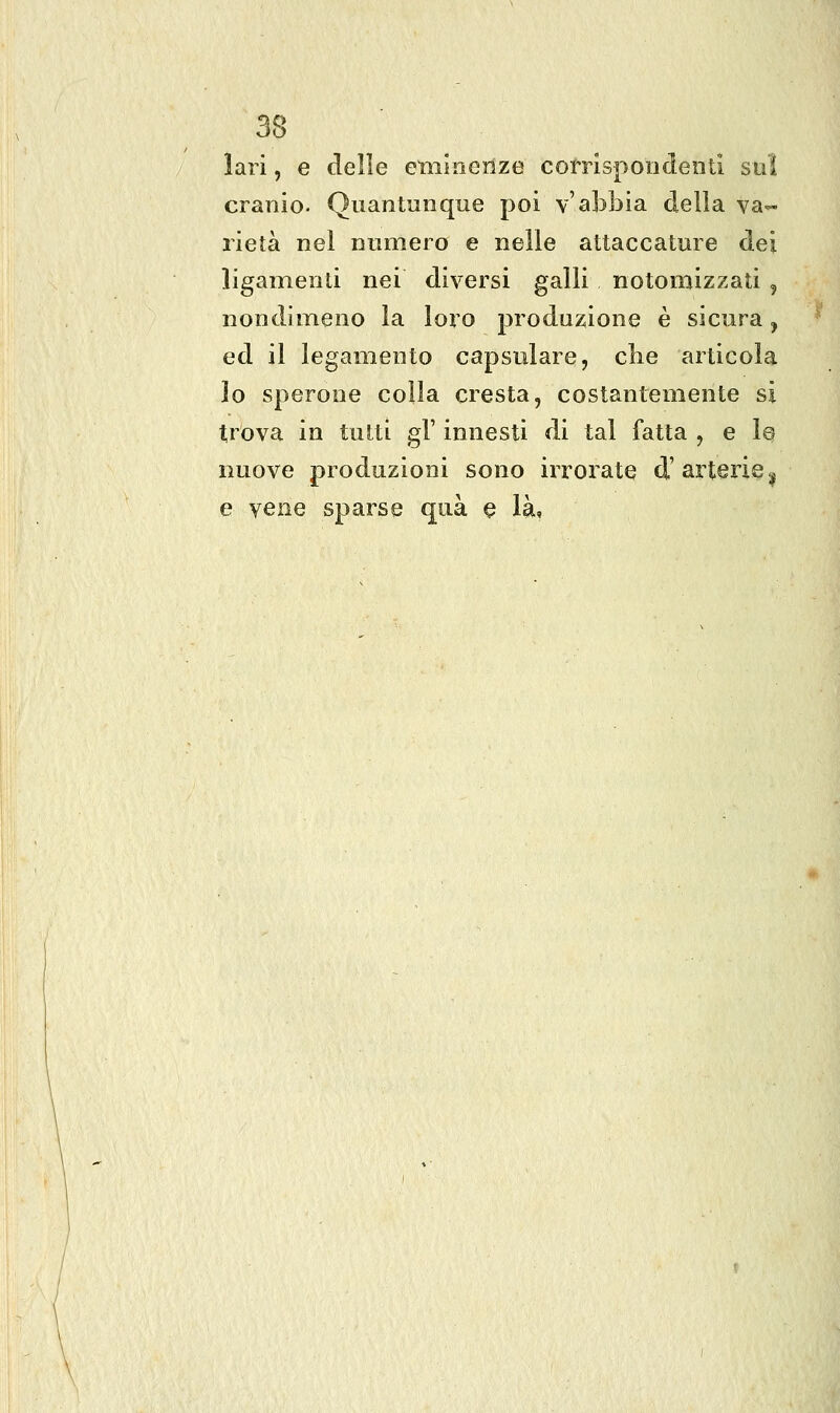 lari, e delle etninerlze corrispondenti sul cranio. Quantunque poi v'abbia della va- rietà nel numero e nelle attaccature dei ligamenli nei diversi galli notomizzati , nondimeno la loro produzione è sicura, ed il legamento capsulare, che articola lo sperone colla cresta, costantemente si trova in tutti gì' innesti di tal fatta , e le nuove produzioni sono irrorate d'arterie | e vene sparse qua ^ là»