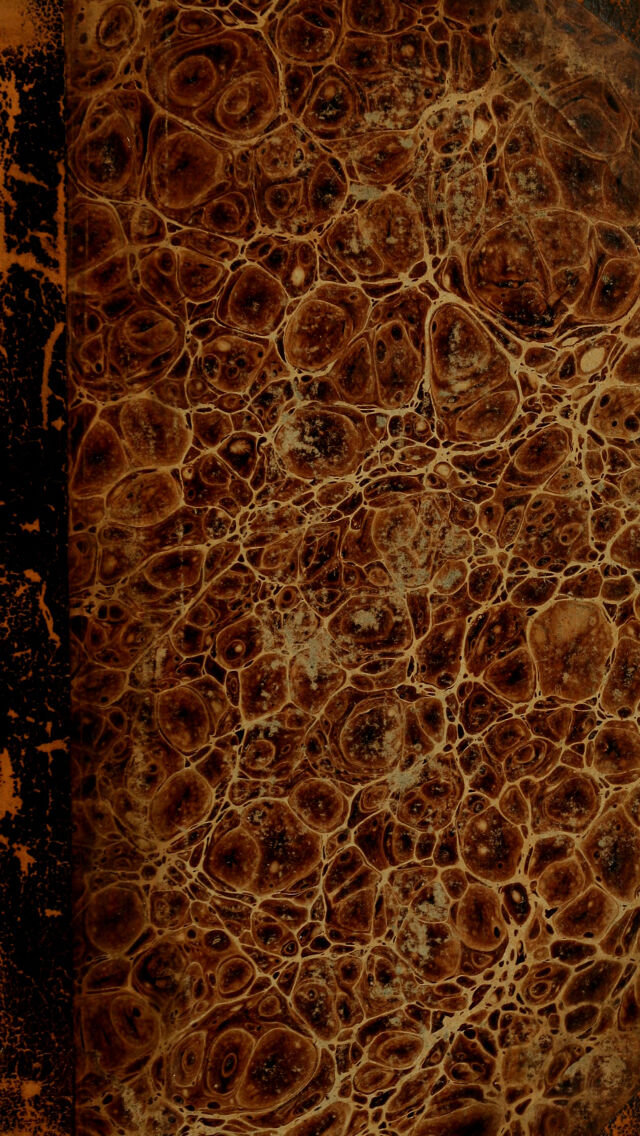 digitised image 1