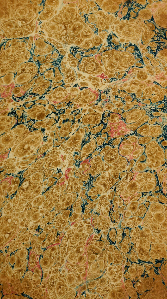 digitised image 3