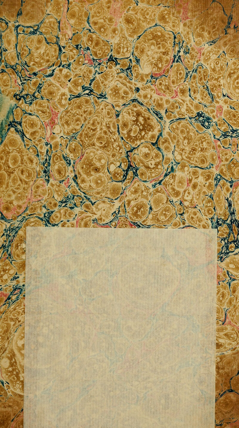 n - r uf W \Jjk^rJ^: '4-'' ■*■#&*